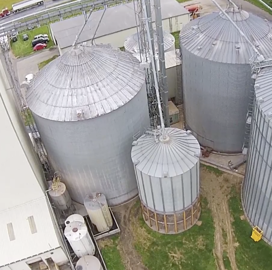 About — Hillandale Farms