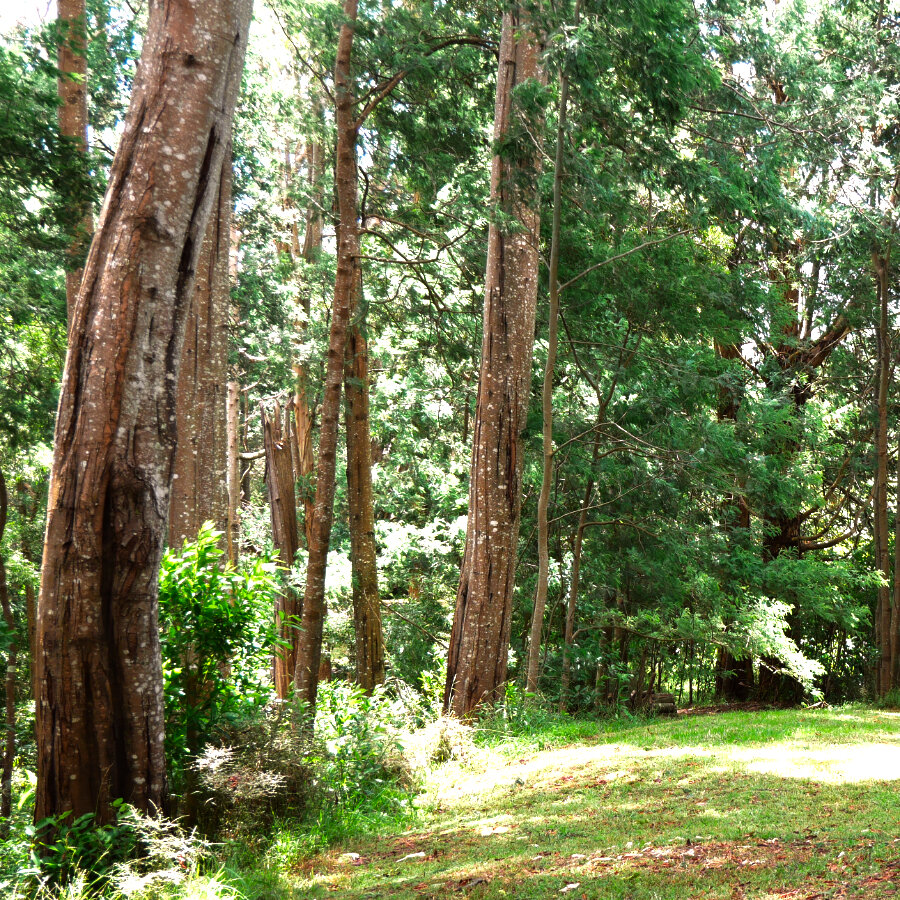 Samadhi Meditation Retreat Grove Square.jpg