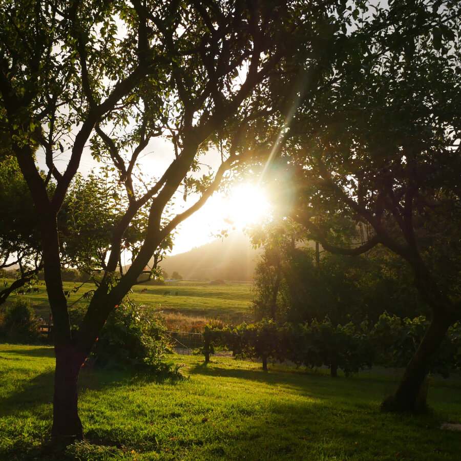 Samadhi Meditation Retreat Sunset Square 2.jpg