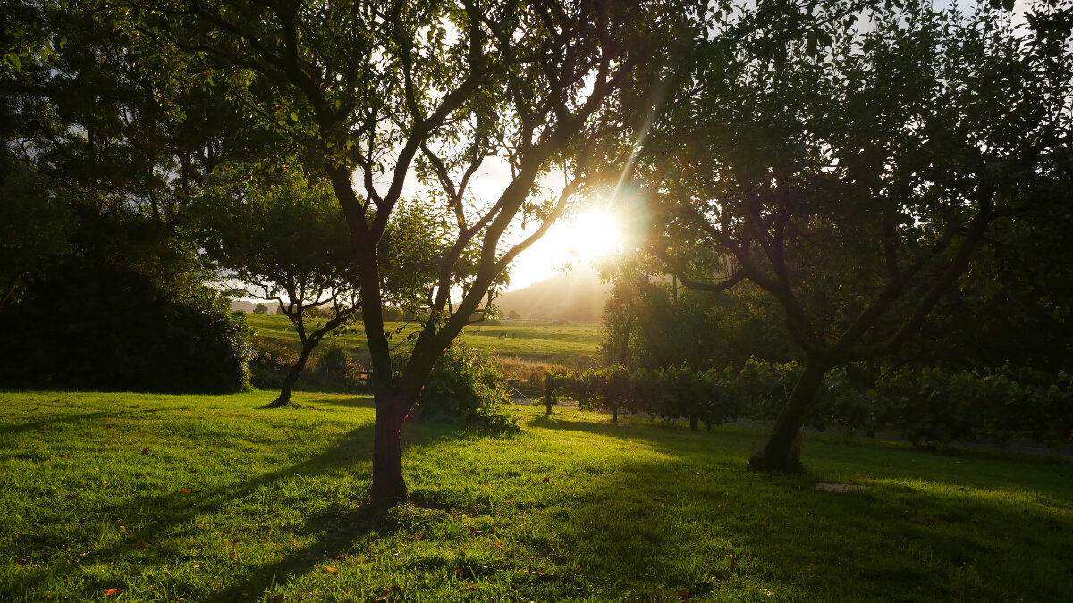 Samadhi Meditation Retreat Sunset .jpg