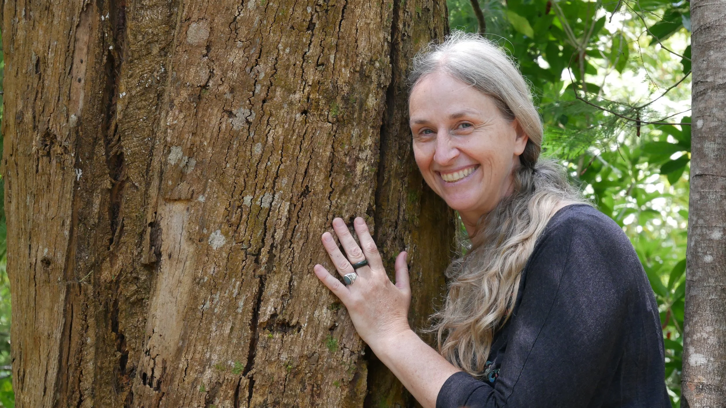 Savitri's Surrender Tree.JPG