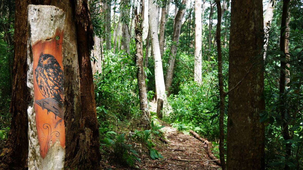 Samadhi Meditation Retreat Ruru Path.jpg