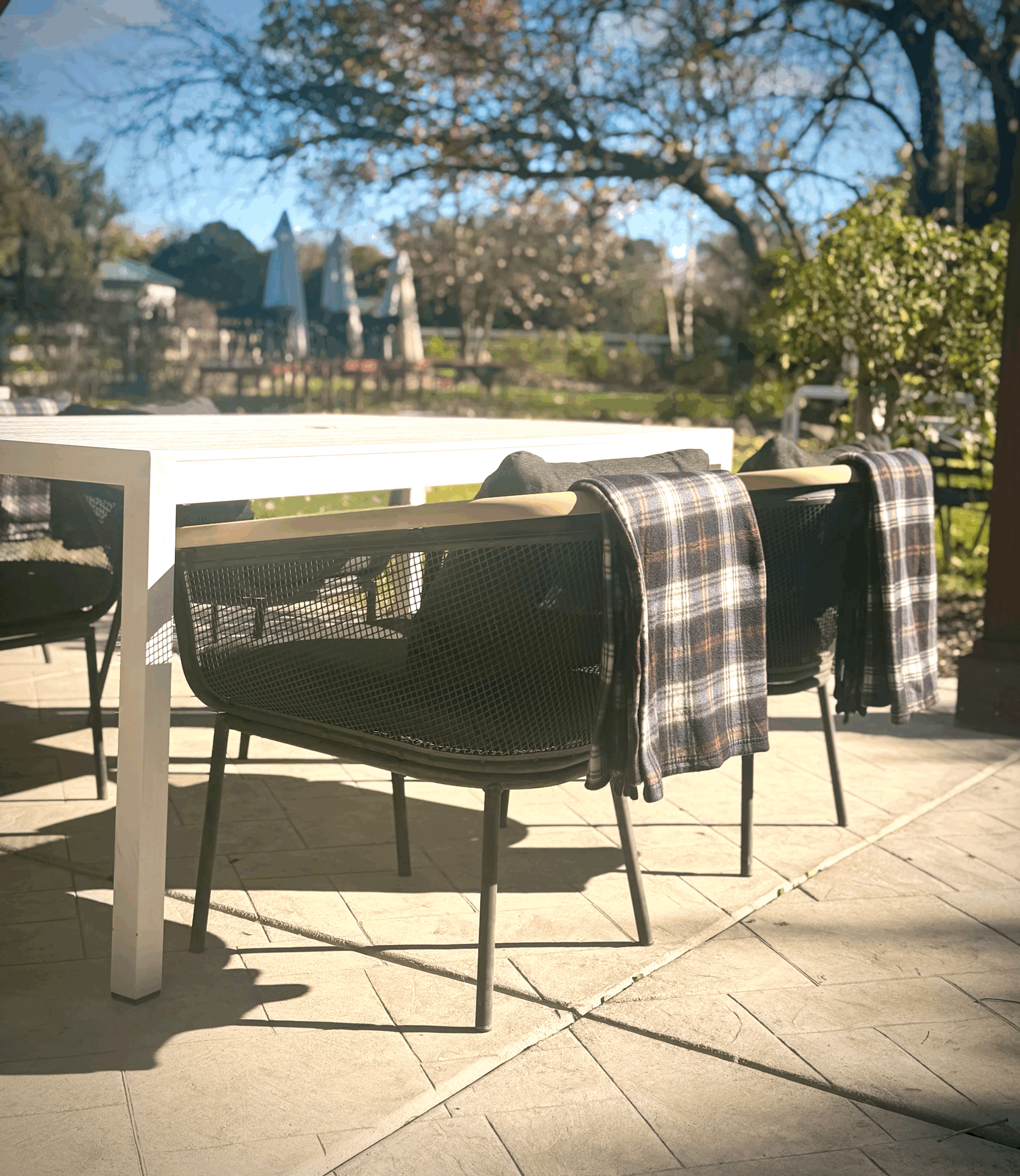 Wine Tasting in Lodi: Why Winter Is the Insider Season | WOO GIRL! Cellars