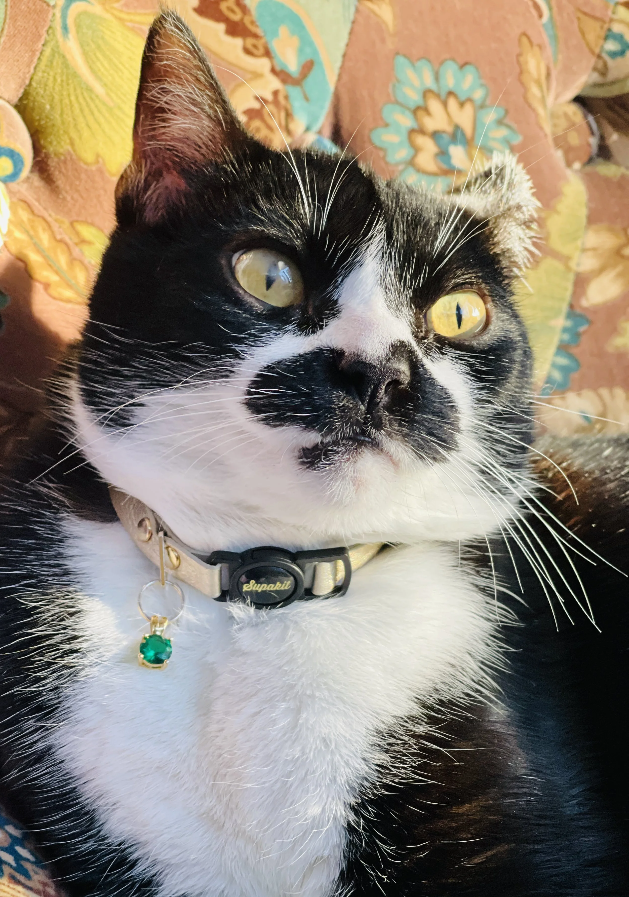 Zoë - WOO GIRL! Cellars Mascot