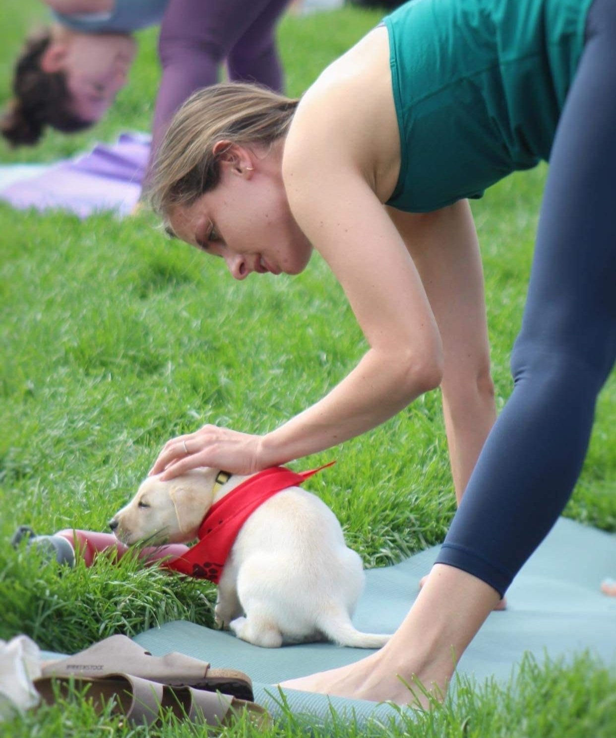 Rescue Puppy Yoga Fundraiser