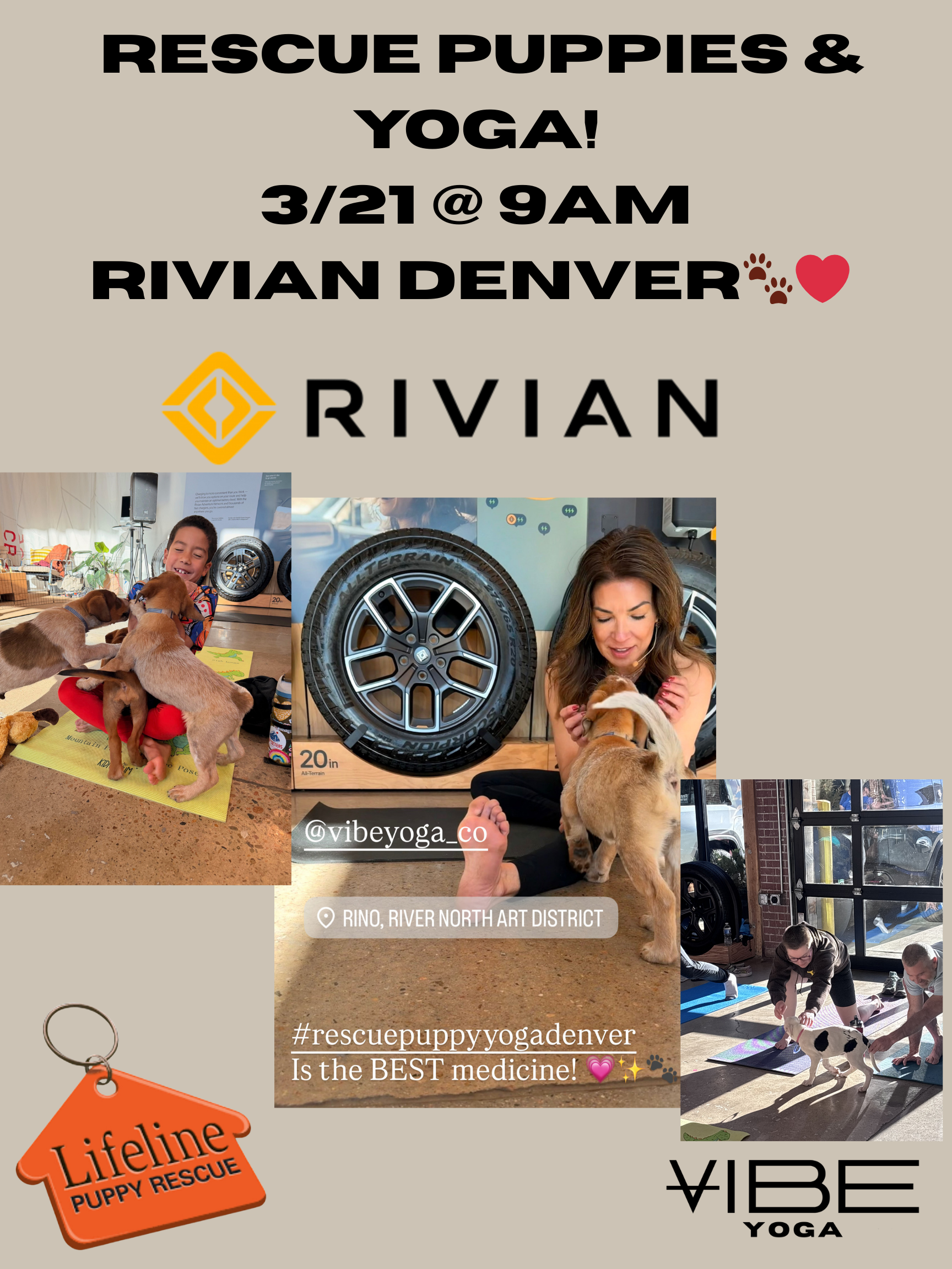 Rescue Puppy Yoga Pop-Up Event