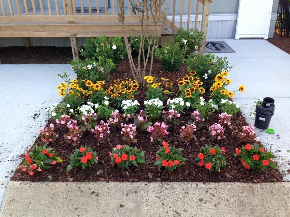 flower bed.jpg