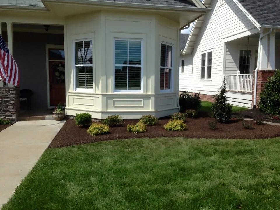 front yard 2.jpg