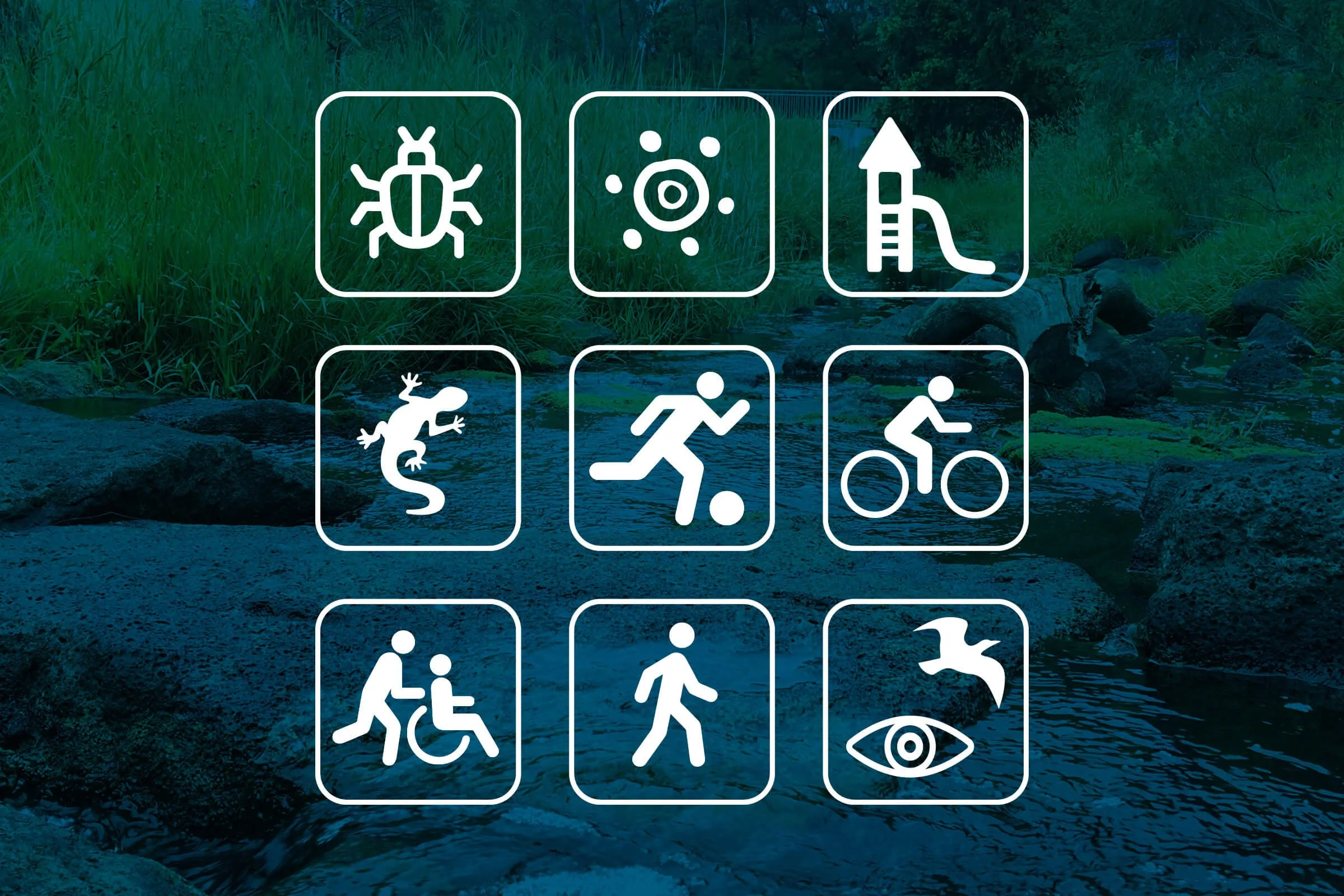 icon-design-brand-design-melbourne