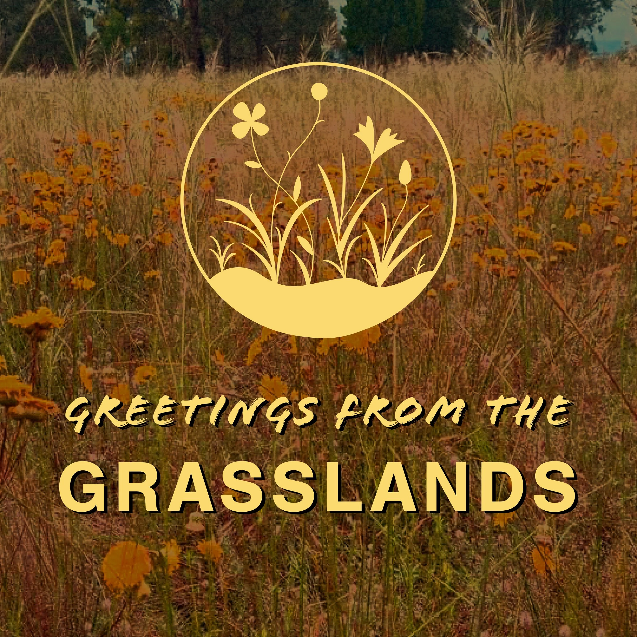 Greetings from the Grasslands