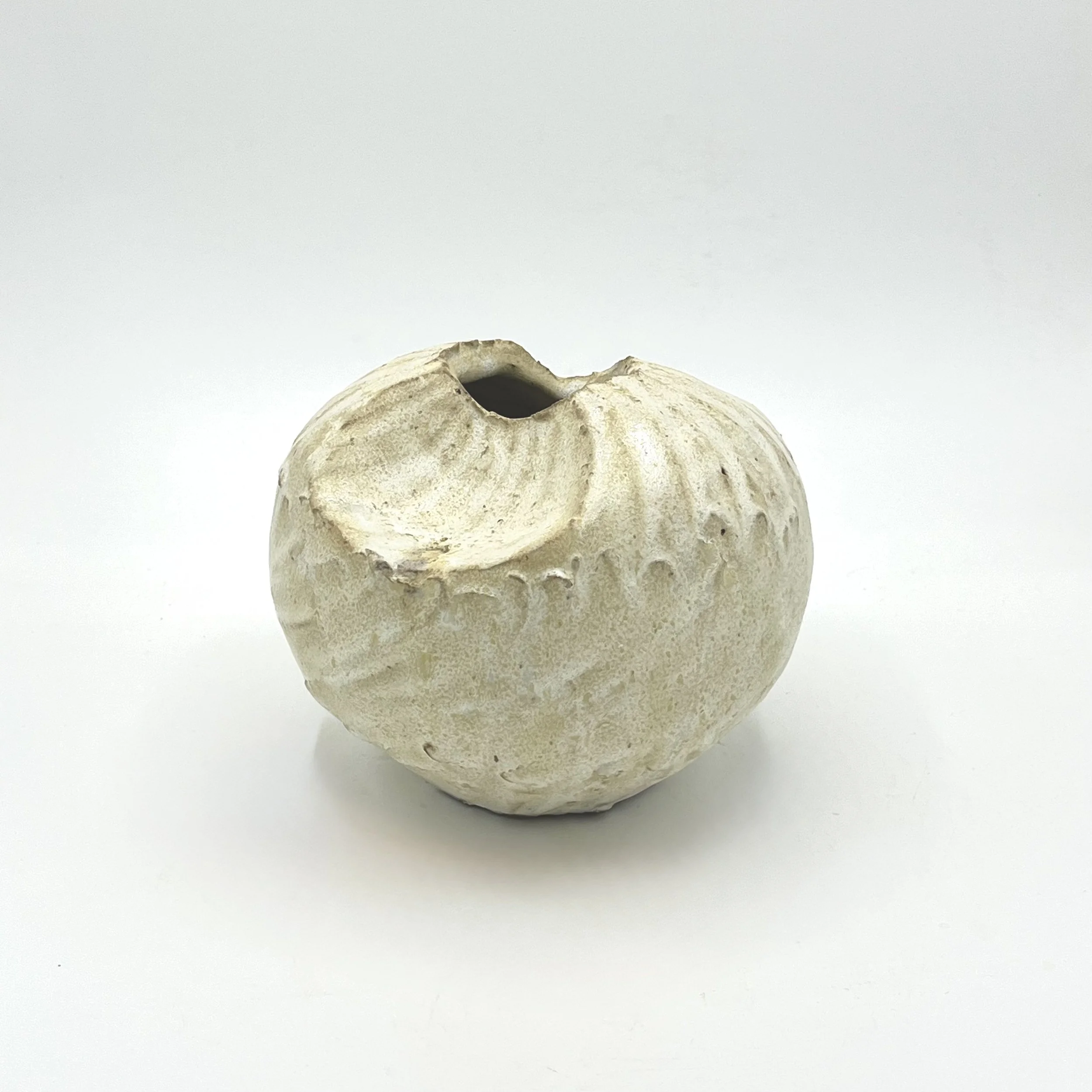 A dried, hollow apple shell with a rough texture and an opening at the top, placed on a white background.