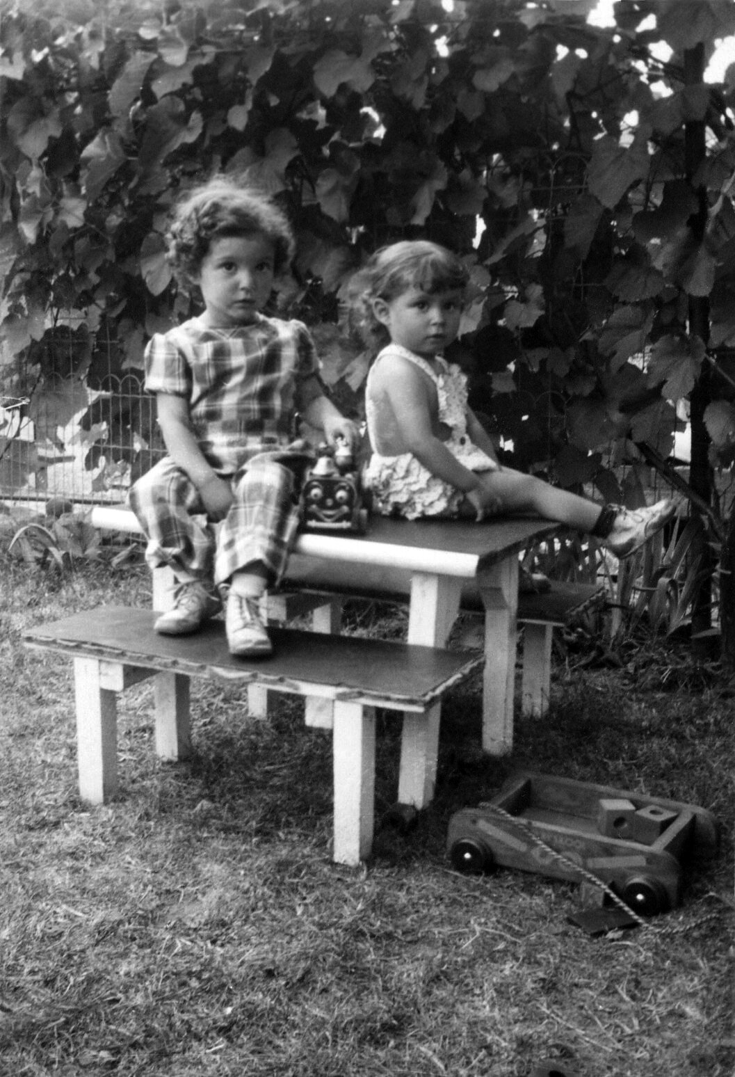  Diane and Linda Vicarel beside Mama’s fig tree, 1954 