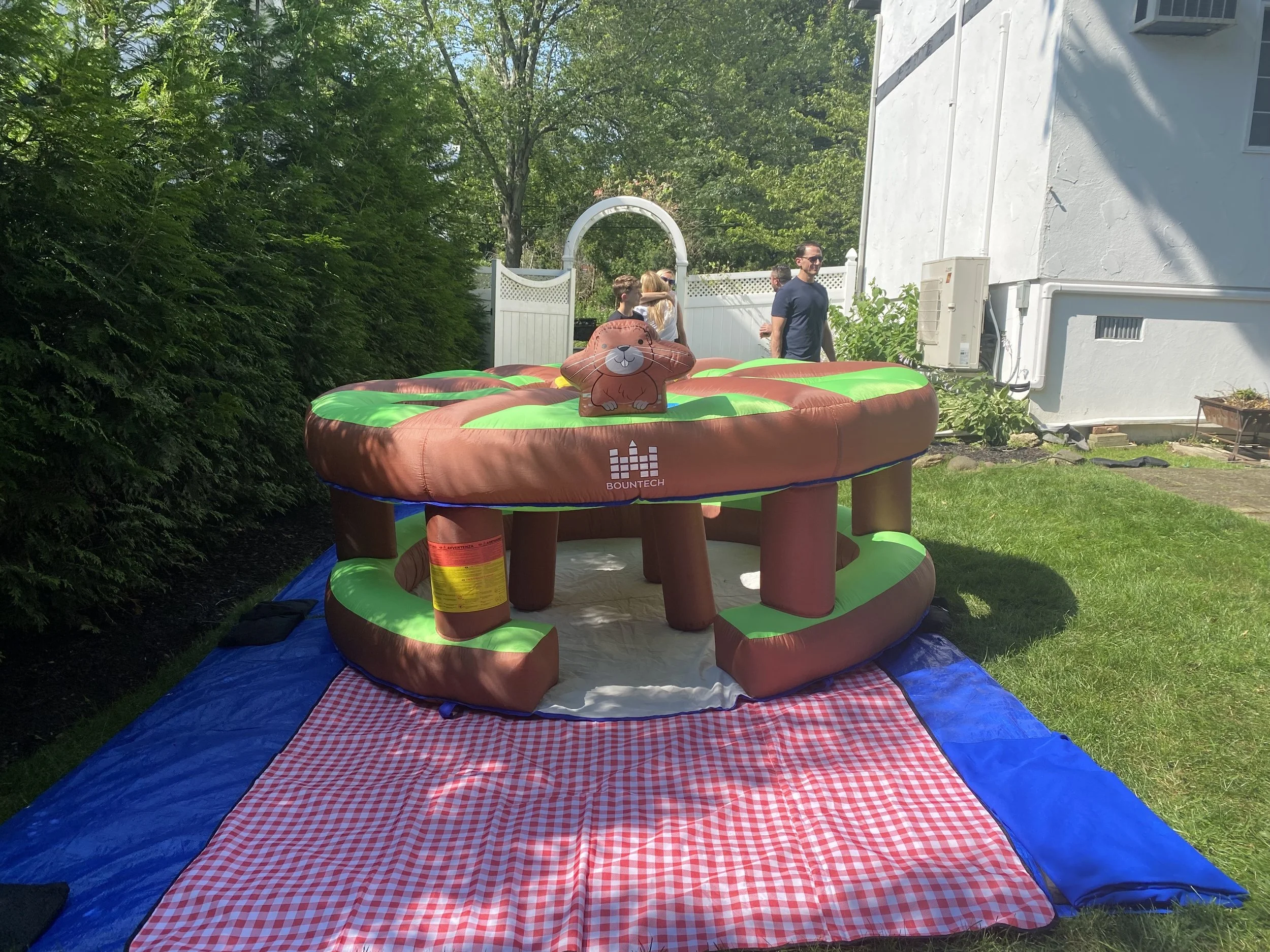 Human Wack-a-Mole.jpeg