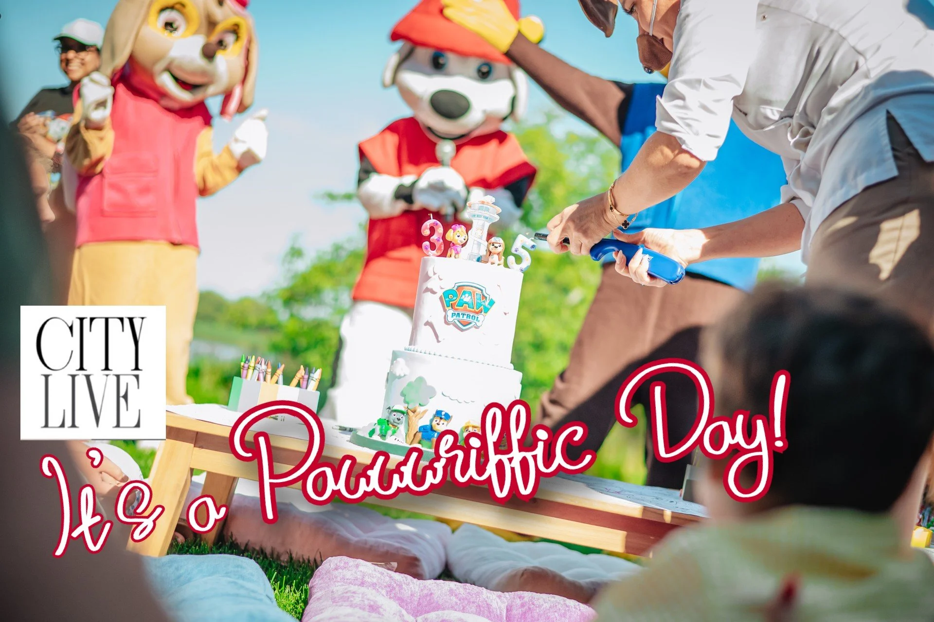 Paw Patrol 5 pawwwriffic day title card.jpg