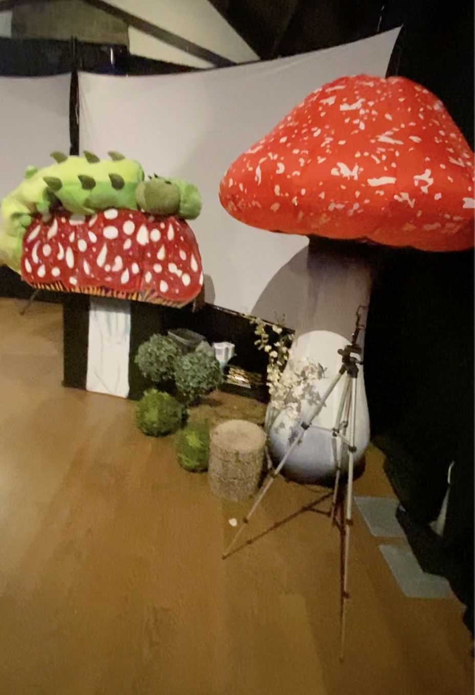 IN WONDERLAND INFLATABLE MUSHROOM AND SET DECOR CITYLIVE RENTALS AND POP UP STAGE SHOWS.png