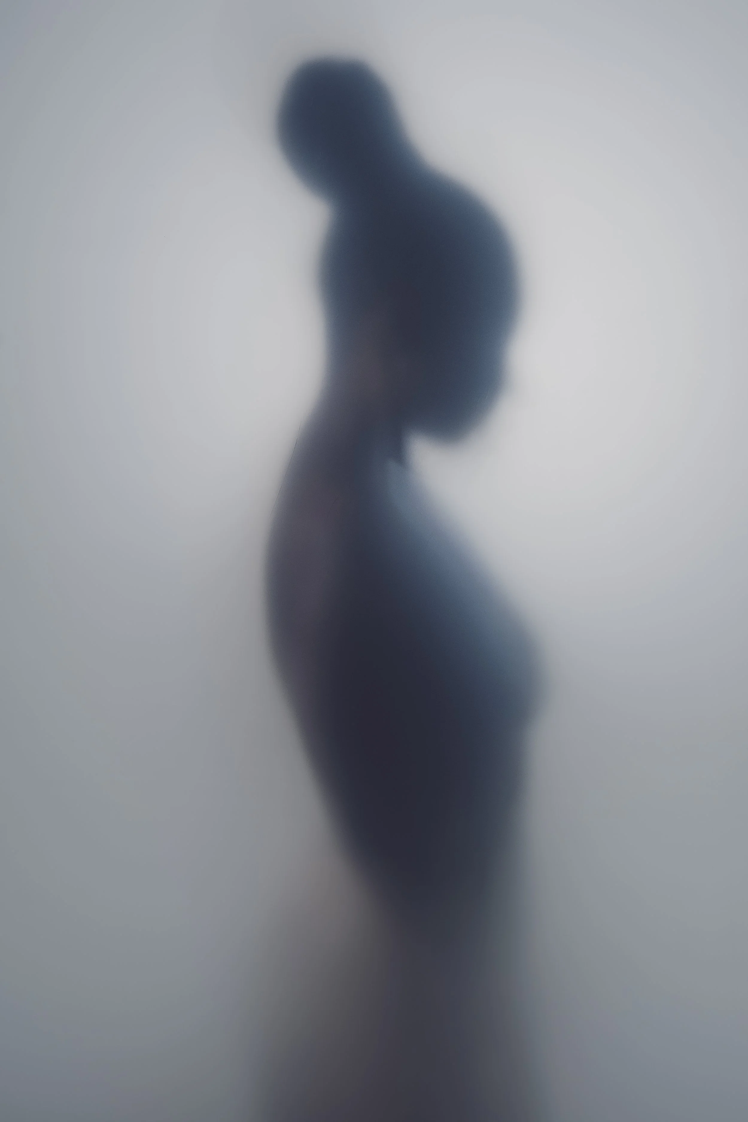 Ivar Schutte - The Beauty of Veiling I.jpg