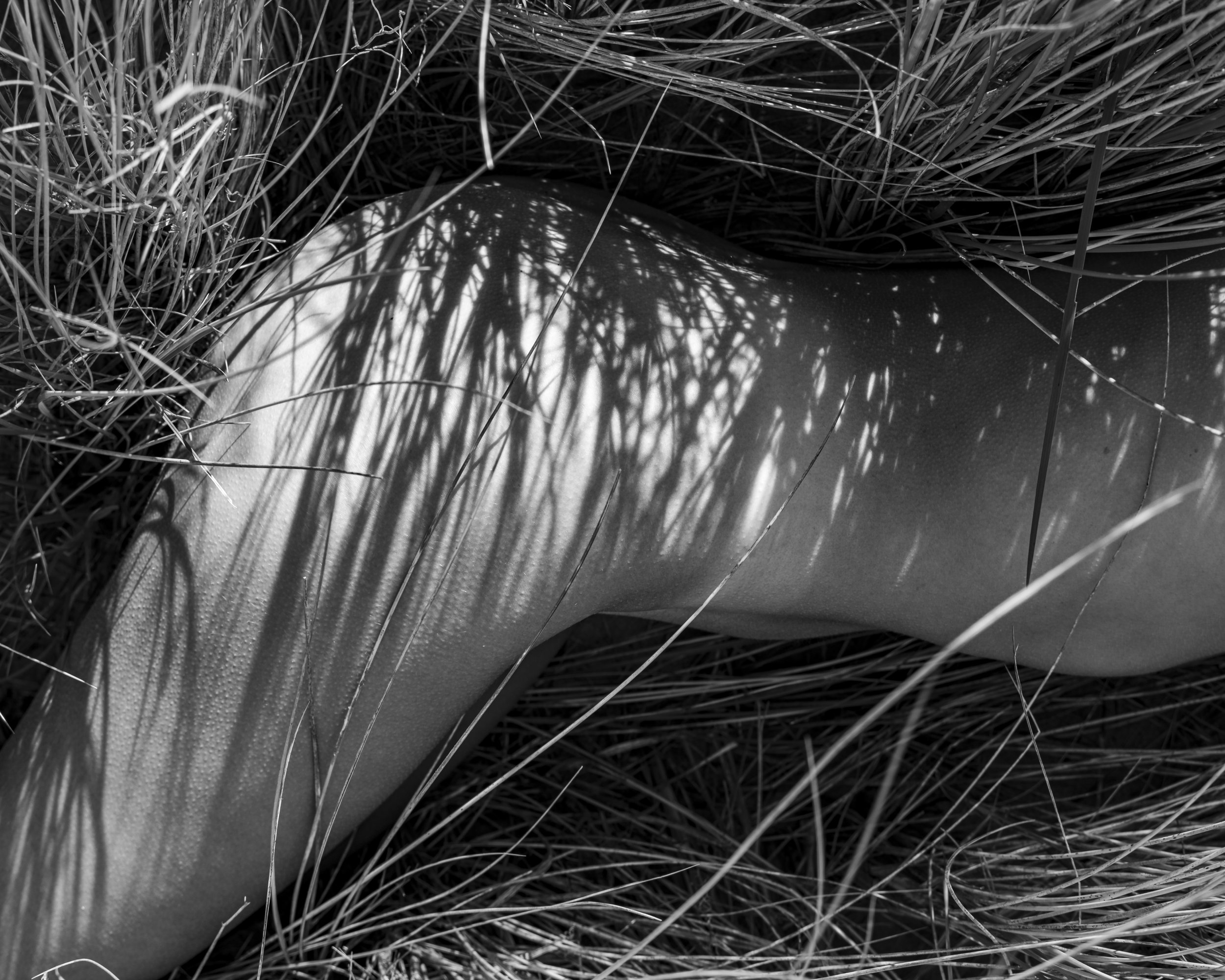 I.Schutte -2023-04-29- 4604.jpg