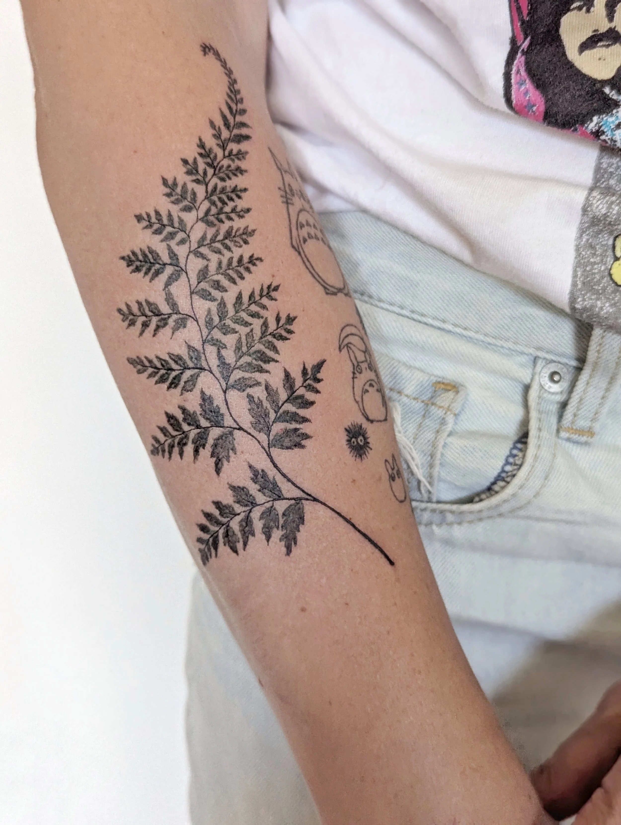 A person's arm with a black tattoo of a large fern branch with detailed leaves, along with small sketches of various objects and symbols.