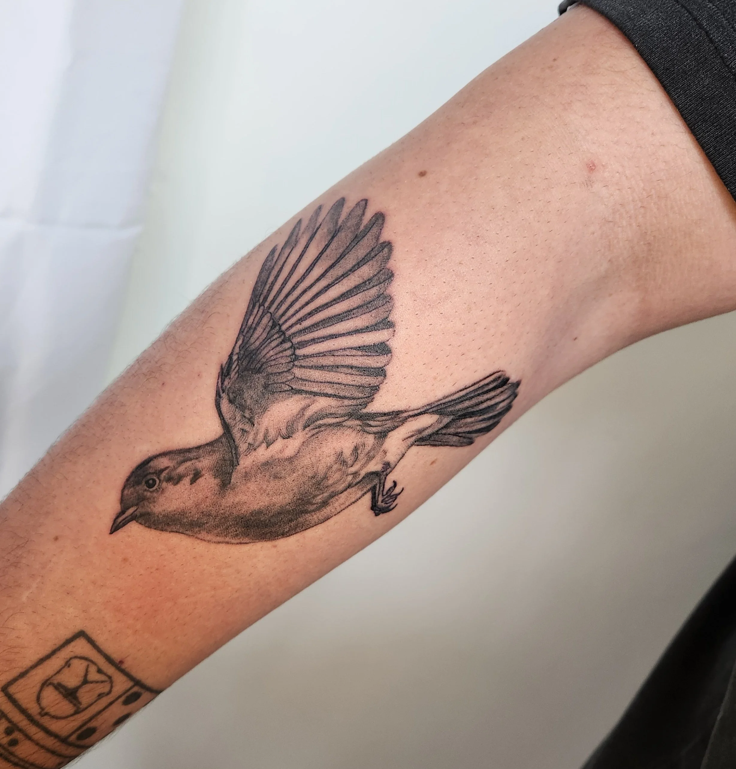 Tattoo of a bird in flight on a person's upper arm.