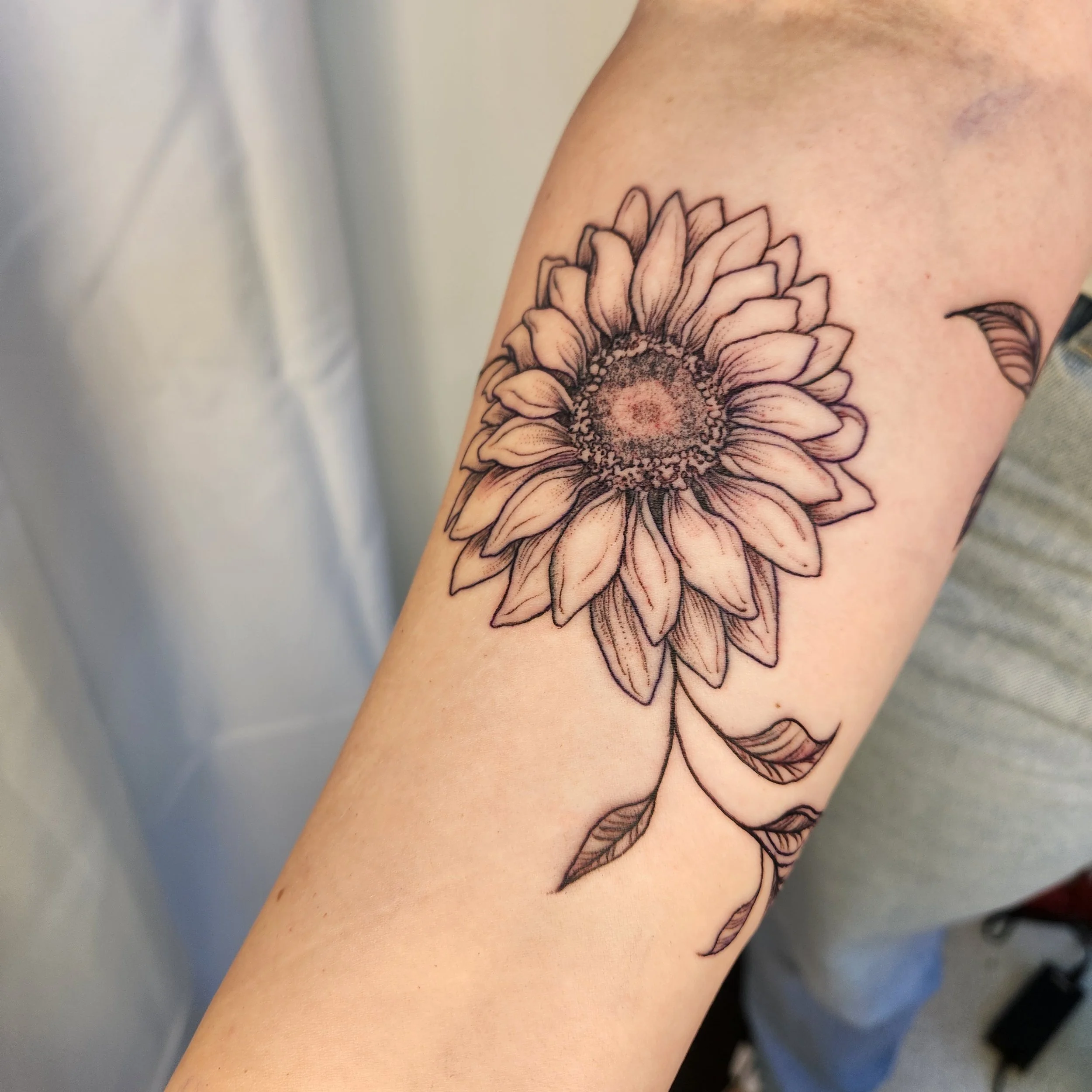 Black and gray tattoo of a sunflower with detailed petals and leaves on a person's arm.