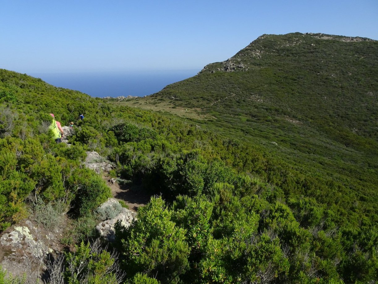 verso lo Stagnone.jpg