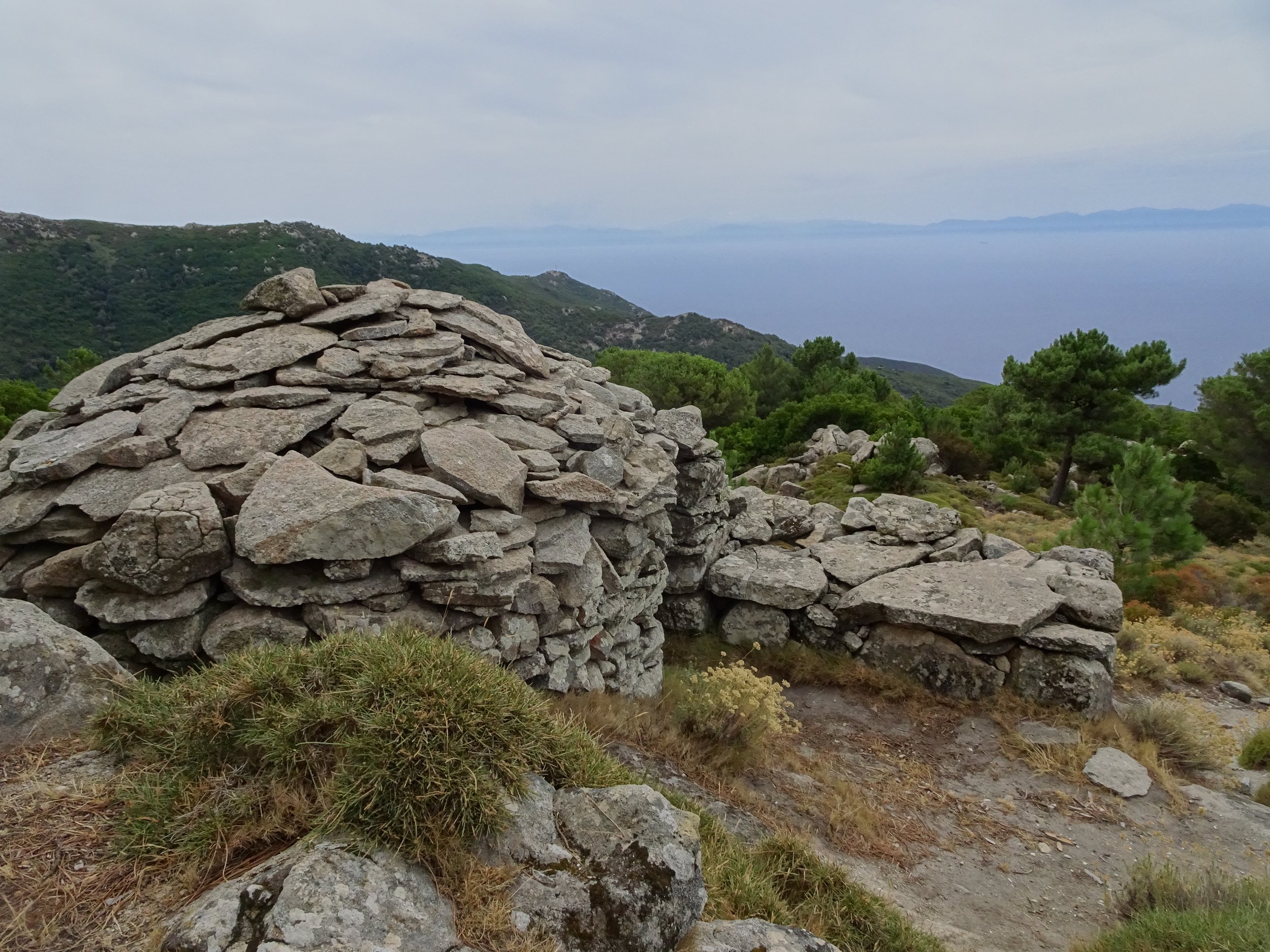 Caprili elbani GIORNO 3.JPG