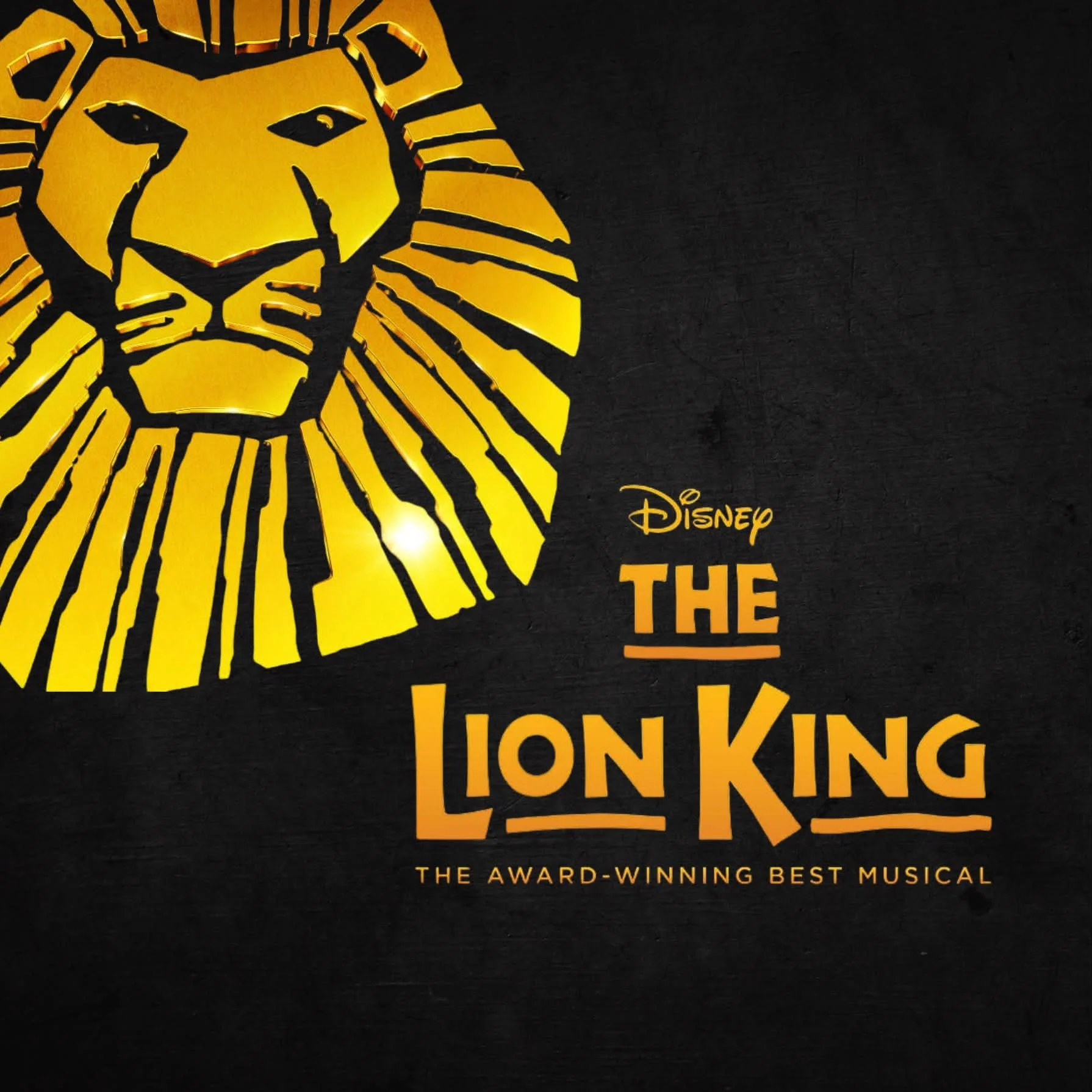 "The Lion King" SBDS Group Trip