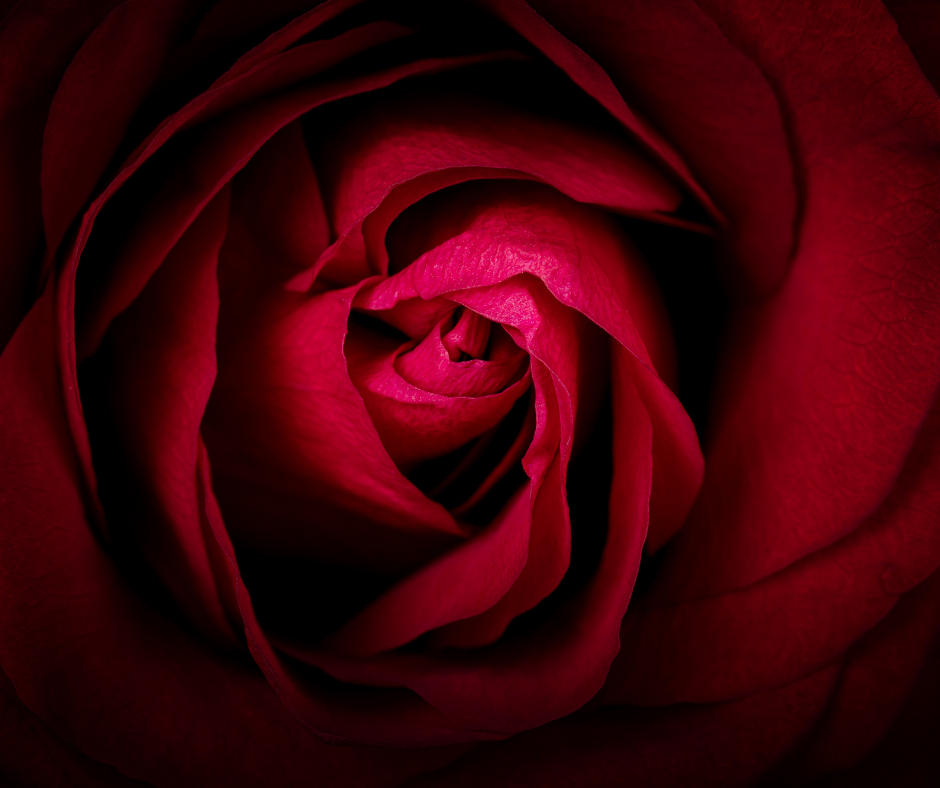 From Disconnected, Numb &amp; Just Going Through The Motions to Deep Pleasure, Deep Love &amp; Feeling Fully ALIVE!