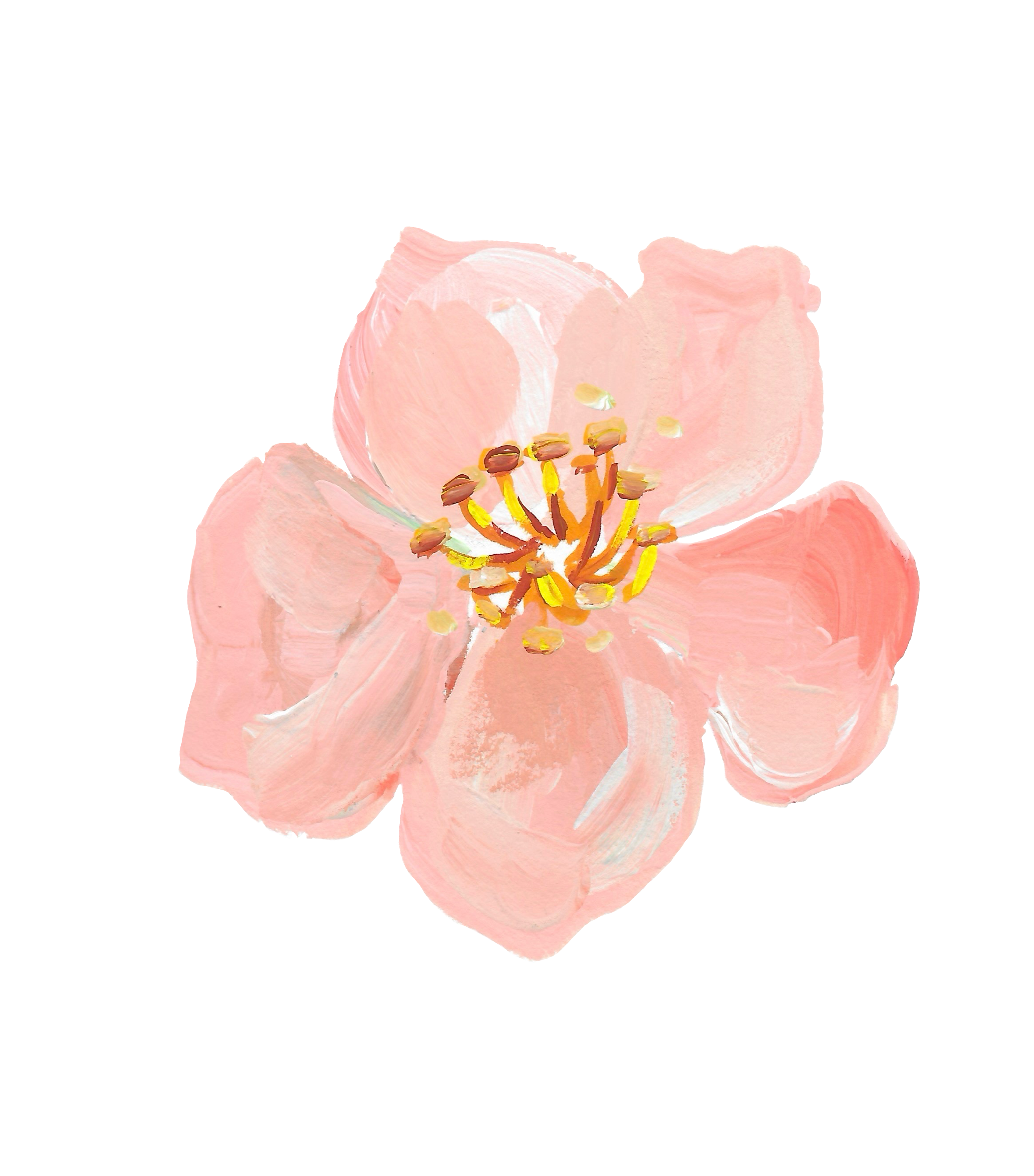Flower_big_rose_acrylic_gouache+2.png