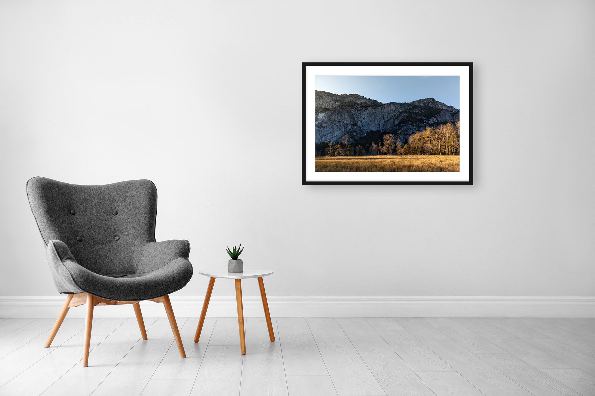 212-2019_06112015_Z50mm_FRAMED.jpg