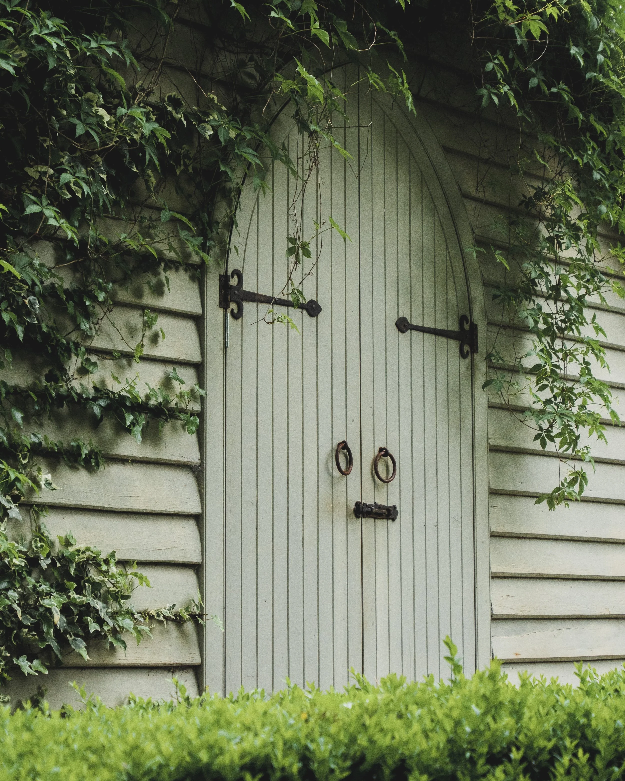 Top 5 Trending Garden Wall Paint Colours for a Vibrant Outdoor Space