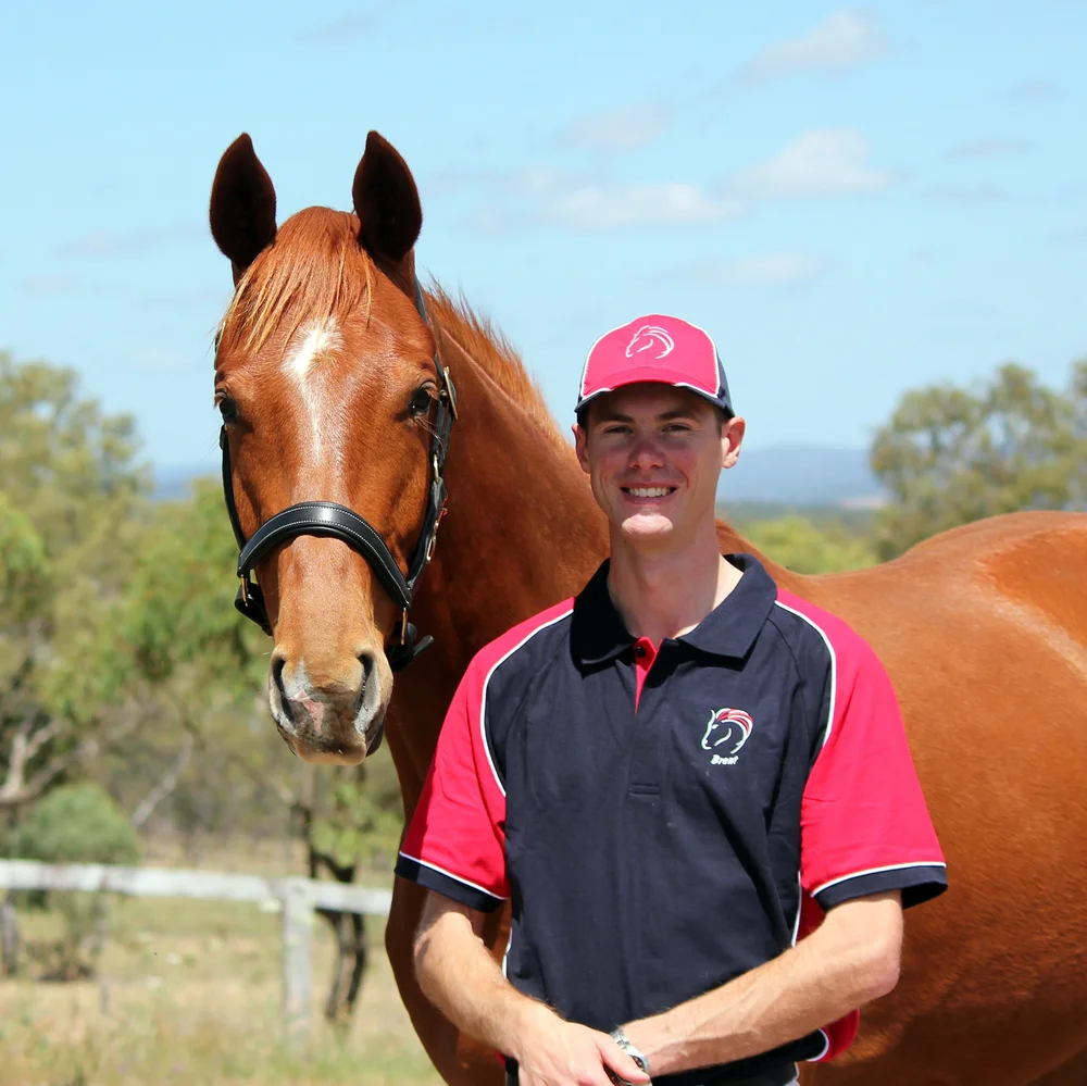 TFD Equine Veterinary Services