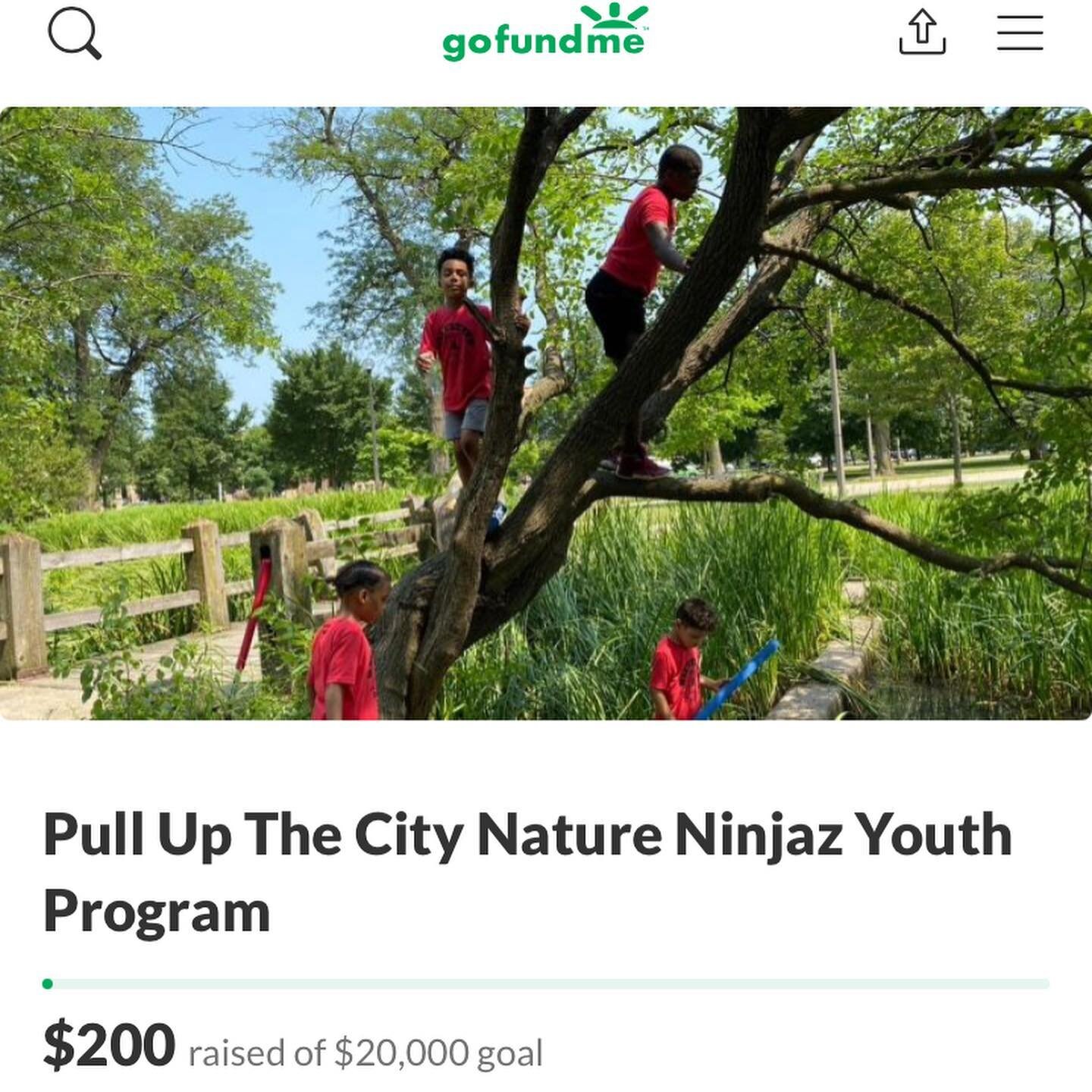 PLEASE SHARE, boost, and donate if you can! Link in our bio to apply for Nature Ninjaz &amp; to donate! 

Too many Chicago youth become victims to violence because they don't have a safe place to exist. Our young people deserve access to resources th