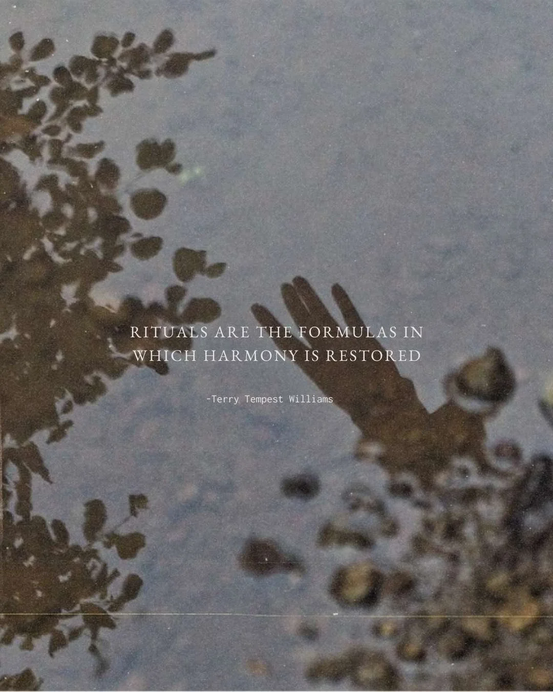 This quote by Terry Tempest Williams highlights how structured, intentional actions (rituals) provide comfort, stability, and purpose. 
It's a beautiful reminder that they can help us in transforming chaos into order and fostering well-being by groun
