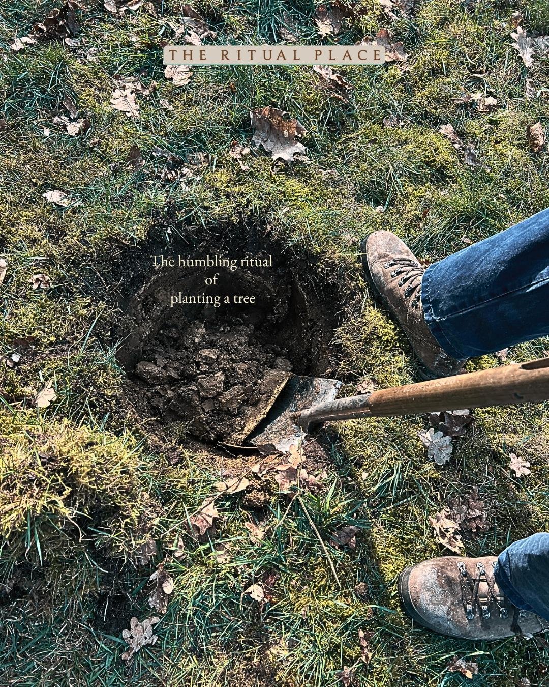 Yesterday I planted a tree. Not just any tree. A walnut tree.�
It had been on my wishlist for quite a while.�
Such a humbling process to plant a tree because really this is not something you do for yourself. You do it for next generations and as a tr