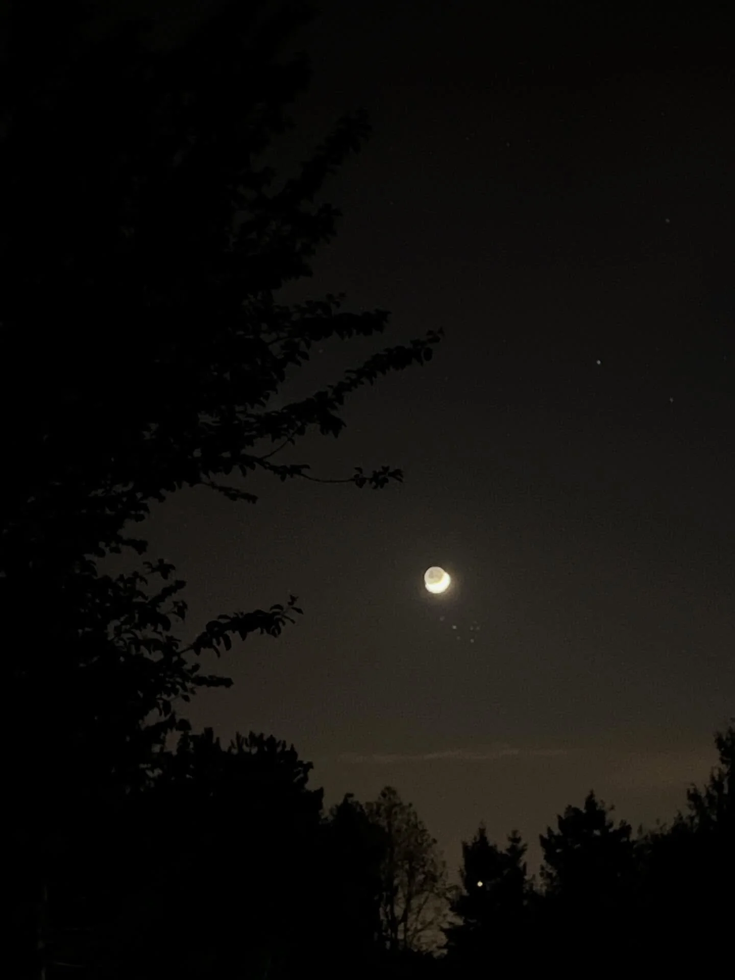 And sometimes all you need to do, is to look up to the sky and have a conversation with the moon, who will remind you that you are always -always- part of something bigger. 🌙 

Even if at times it feels untangible or uncertain. 
You belong. 🌕 

The