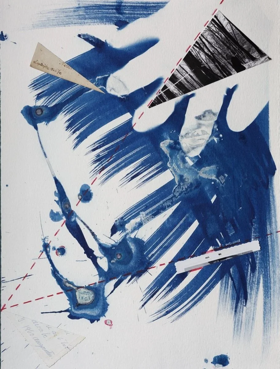 Nervous System, 2026, 11" x 15" in., cyanotype, silver paper, aquarelle pen 