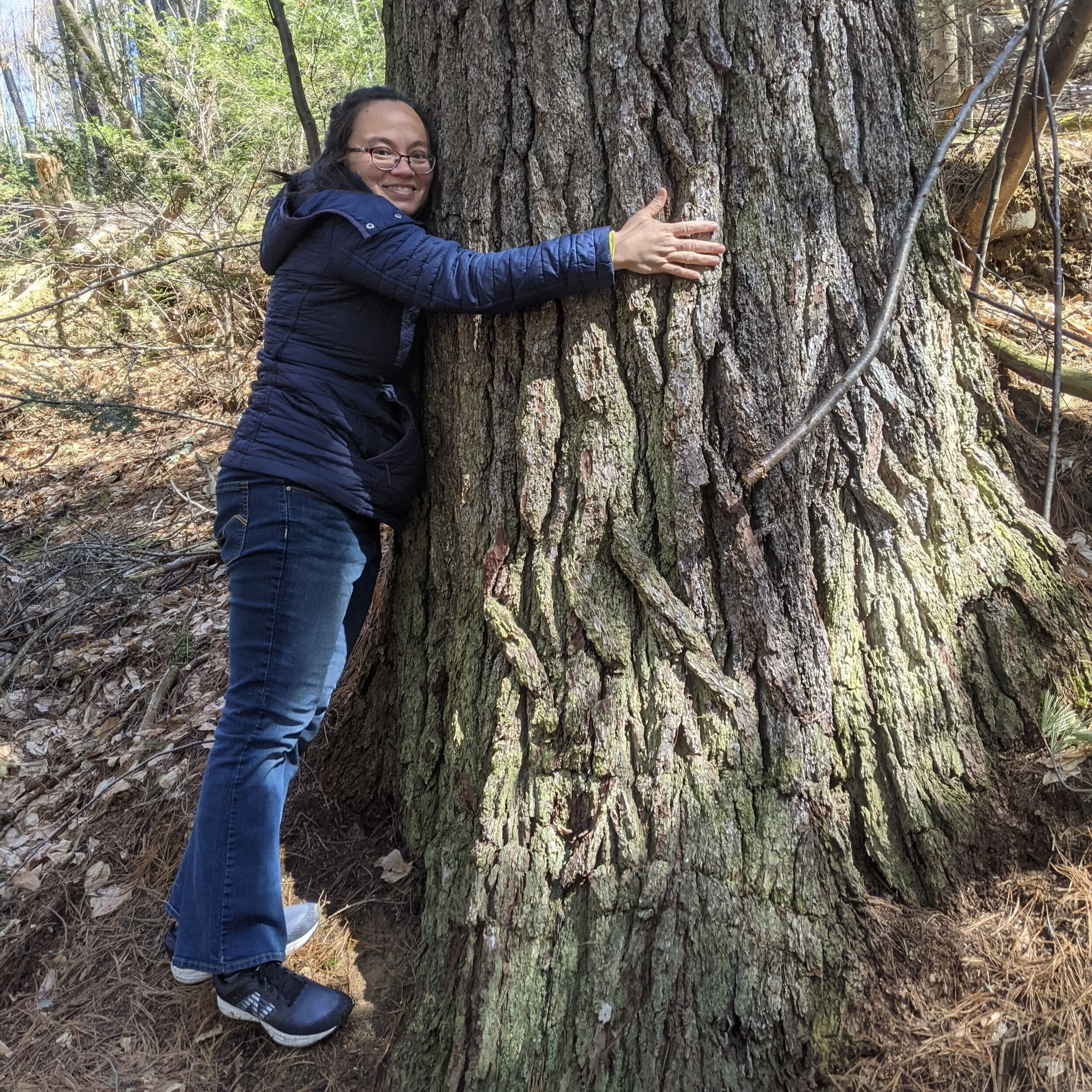 About — Quincy Tree Alliance