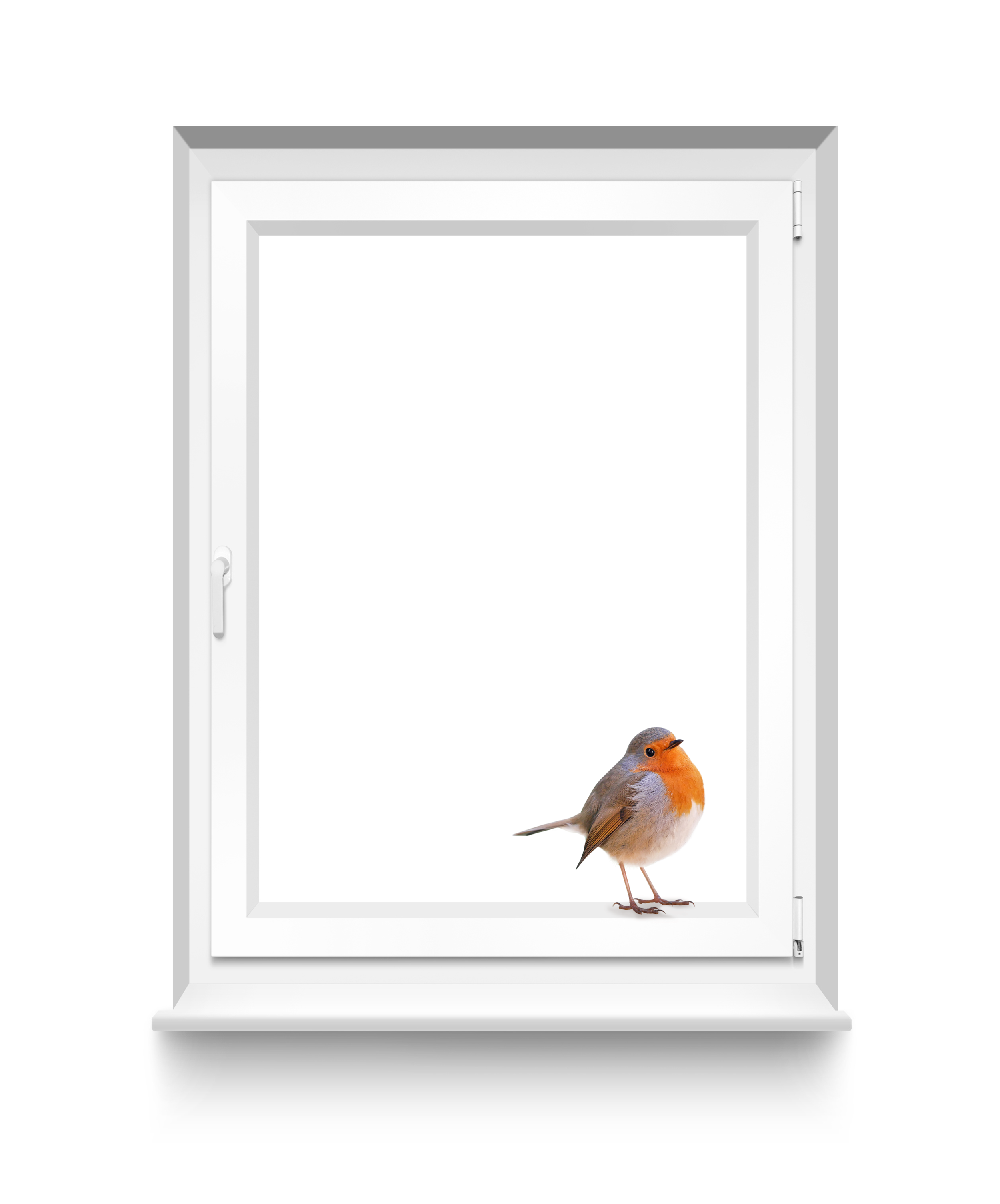 Window Memories