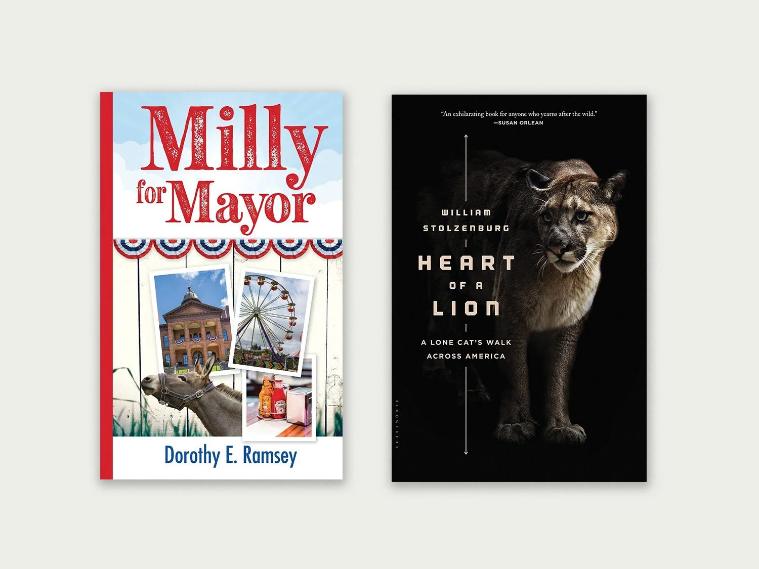 Winter Pairs Well With An Engaging Book