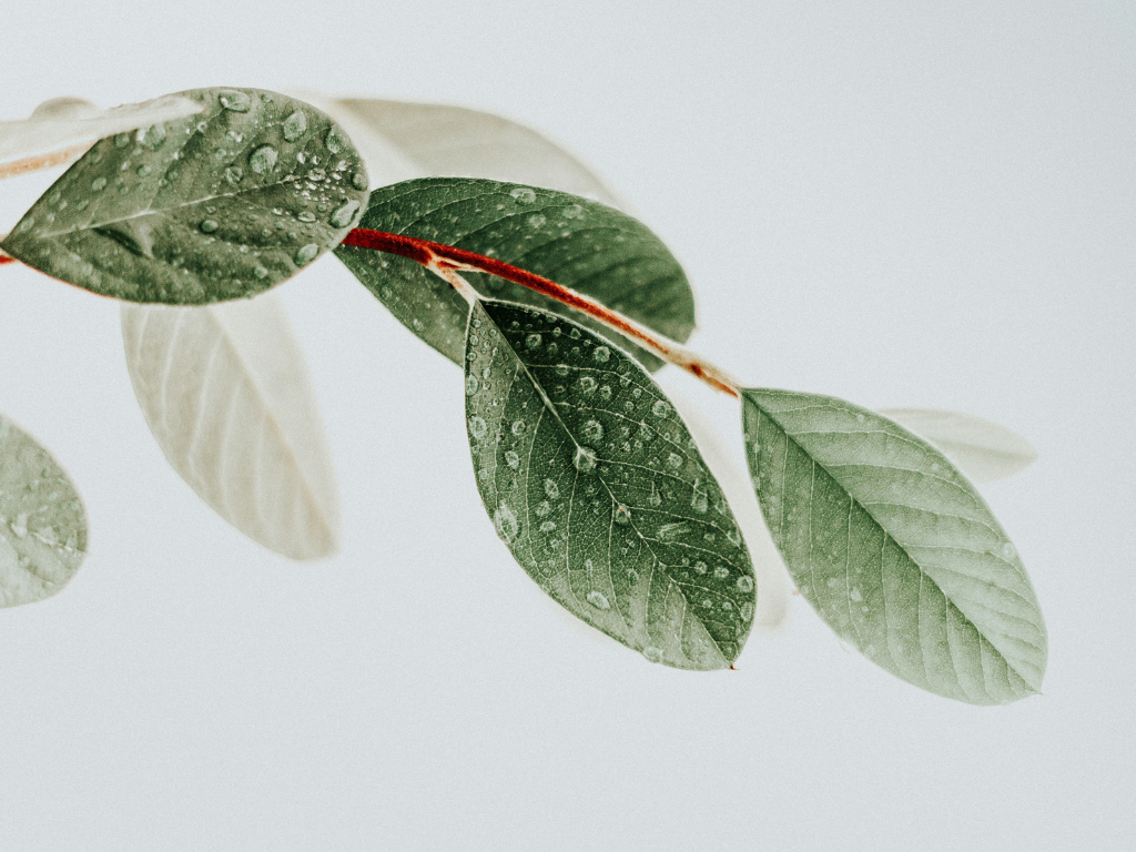 Finding Clarity During a Cancer Journey