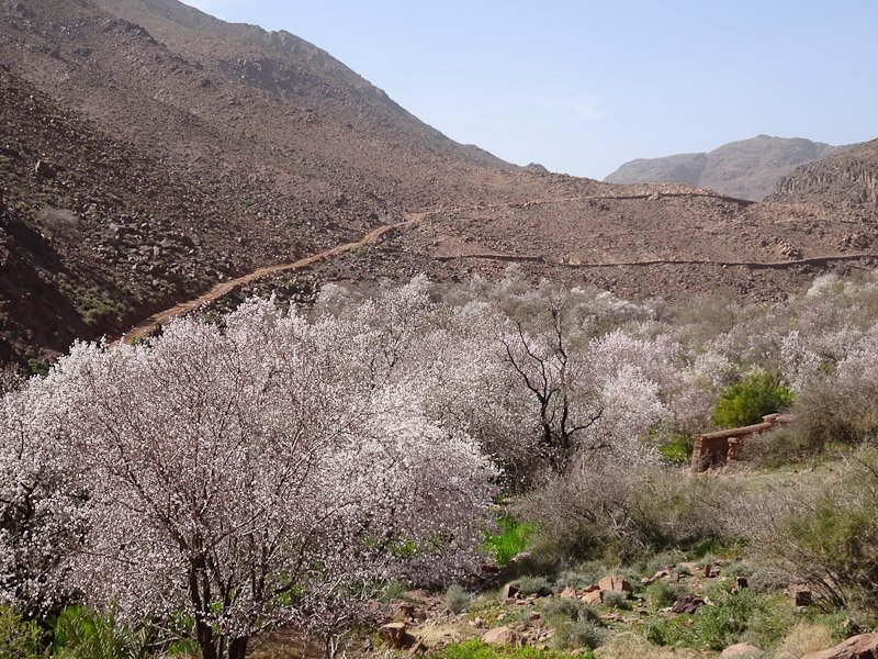 Djebel_Saghro_2015-757-28909.jpg