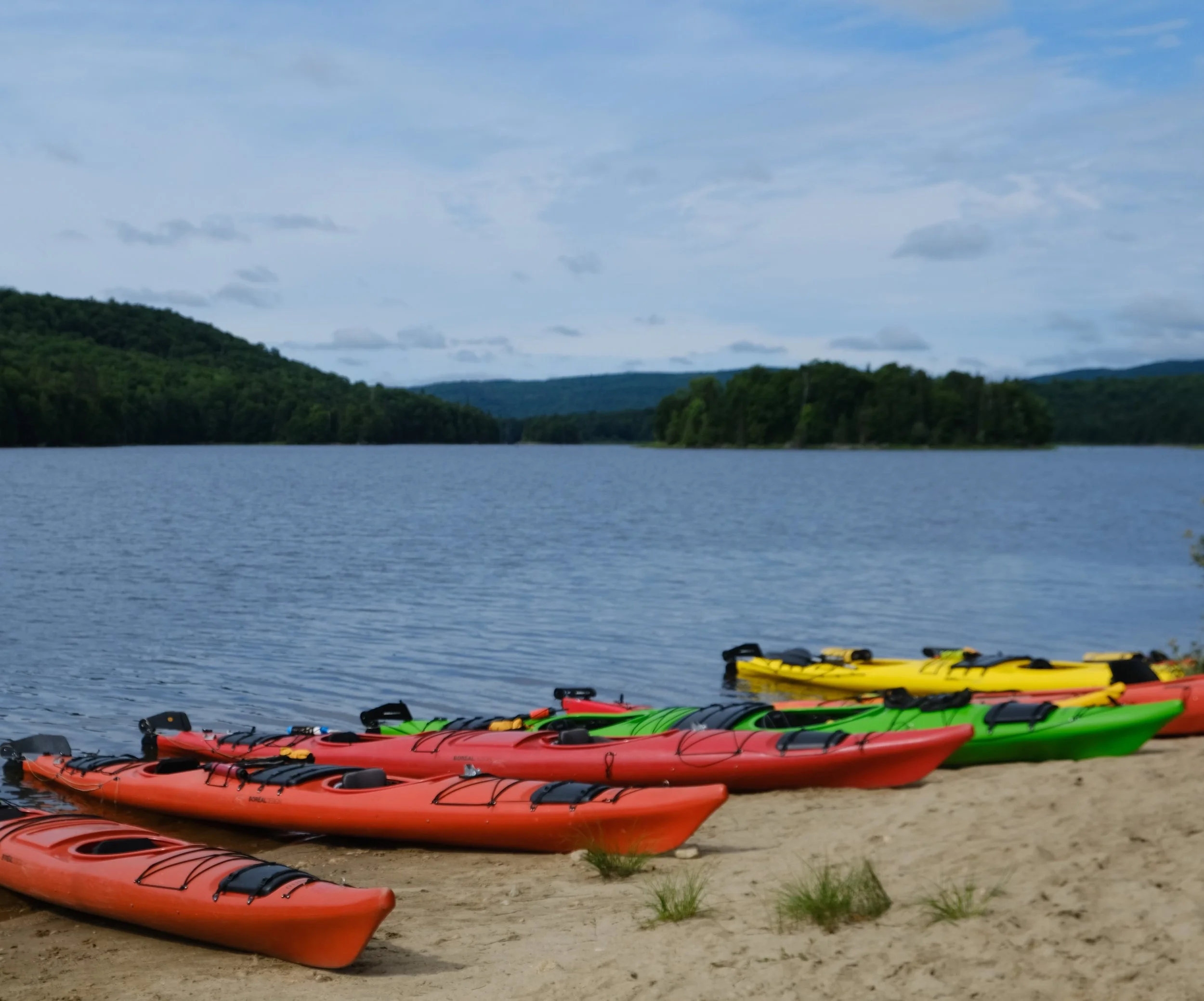 DSCF7241 - Copie.JPG