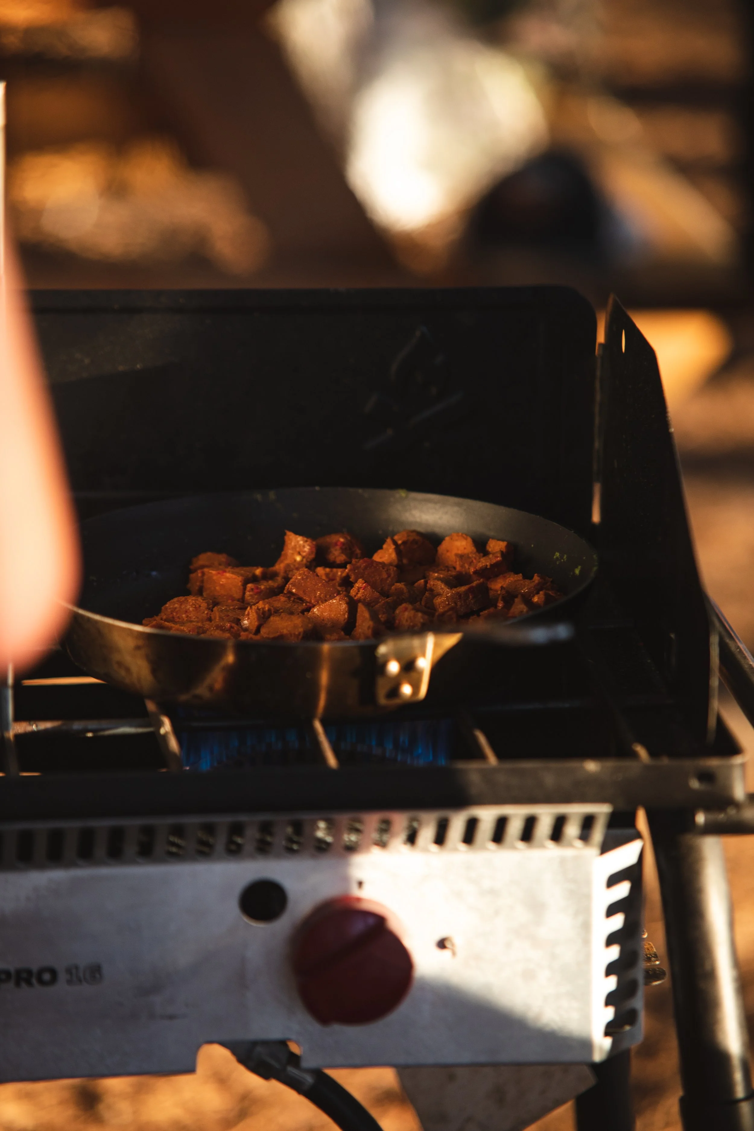 Bivouaq - Poisson Blanc - @IrvinBubar (90 of 109).jpg