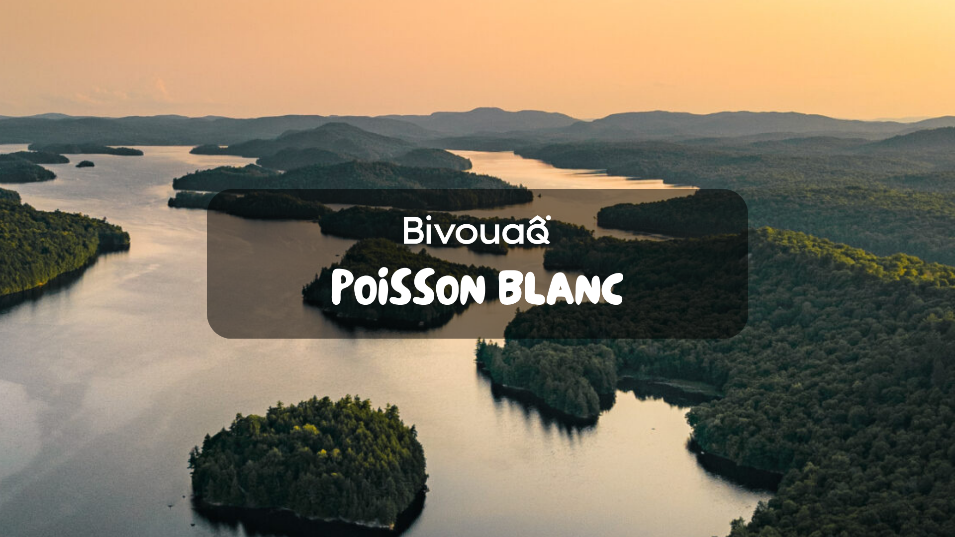 POISSON BLANC : LES MILLE ET UNE ÎLES