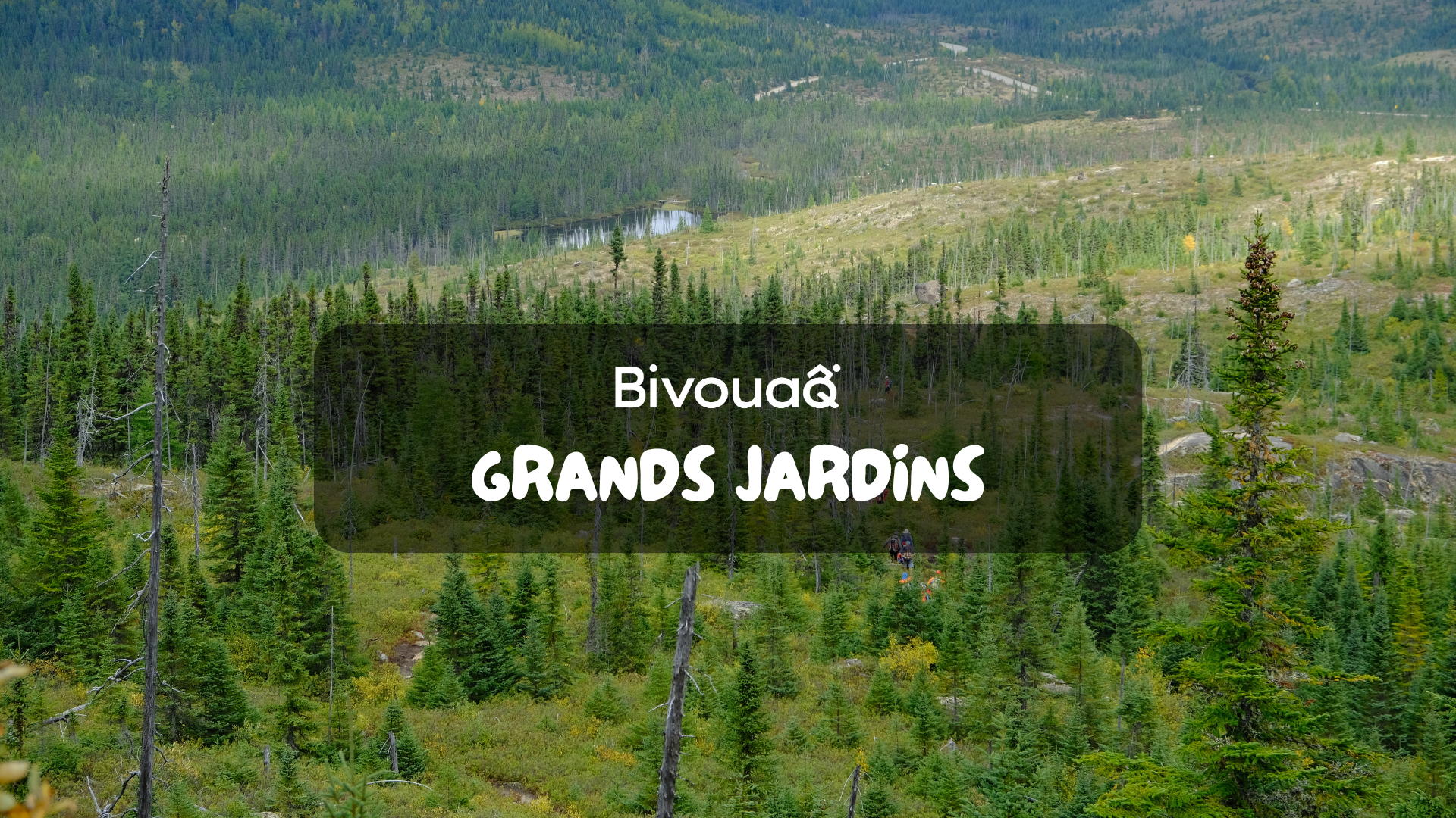 GRANDS-JARDINS : TAÏGA, LICHENS ET MONTAGNES