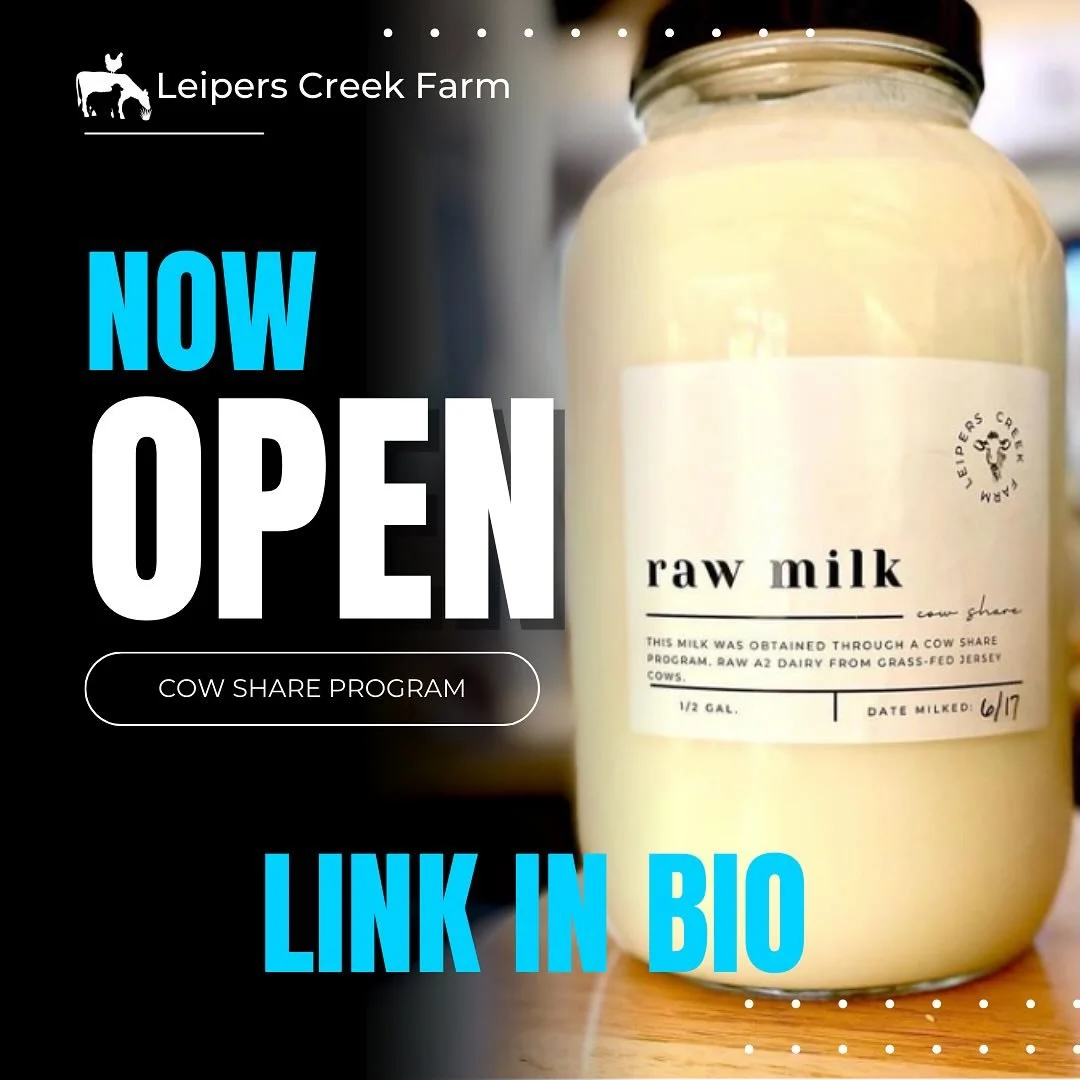 🚨 Our cow share program is NOW OPEN! 🚨 Imagine this fresh, creamy milk in your fridge every week. Limited spots are available for you to experience raw, nutrient-packed milk straight from our farm. 🐄🌱 Don&rsquo;t wait&mdash;claim your spot now! L