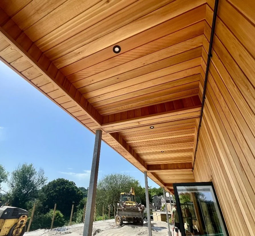 lowen cladding.png