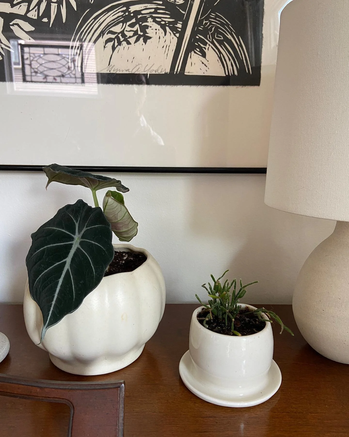 Tending to. Caring for. Nurturing - 
.
We do this with plants - both indoor + out.
.
We do this with our children - both human + non.
.
We do this with our homes - our shelter + body
.
We must also do this with our MONEY.
.
It loves been TENDED to. C