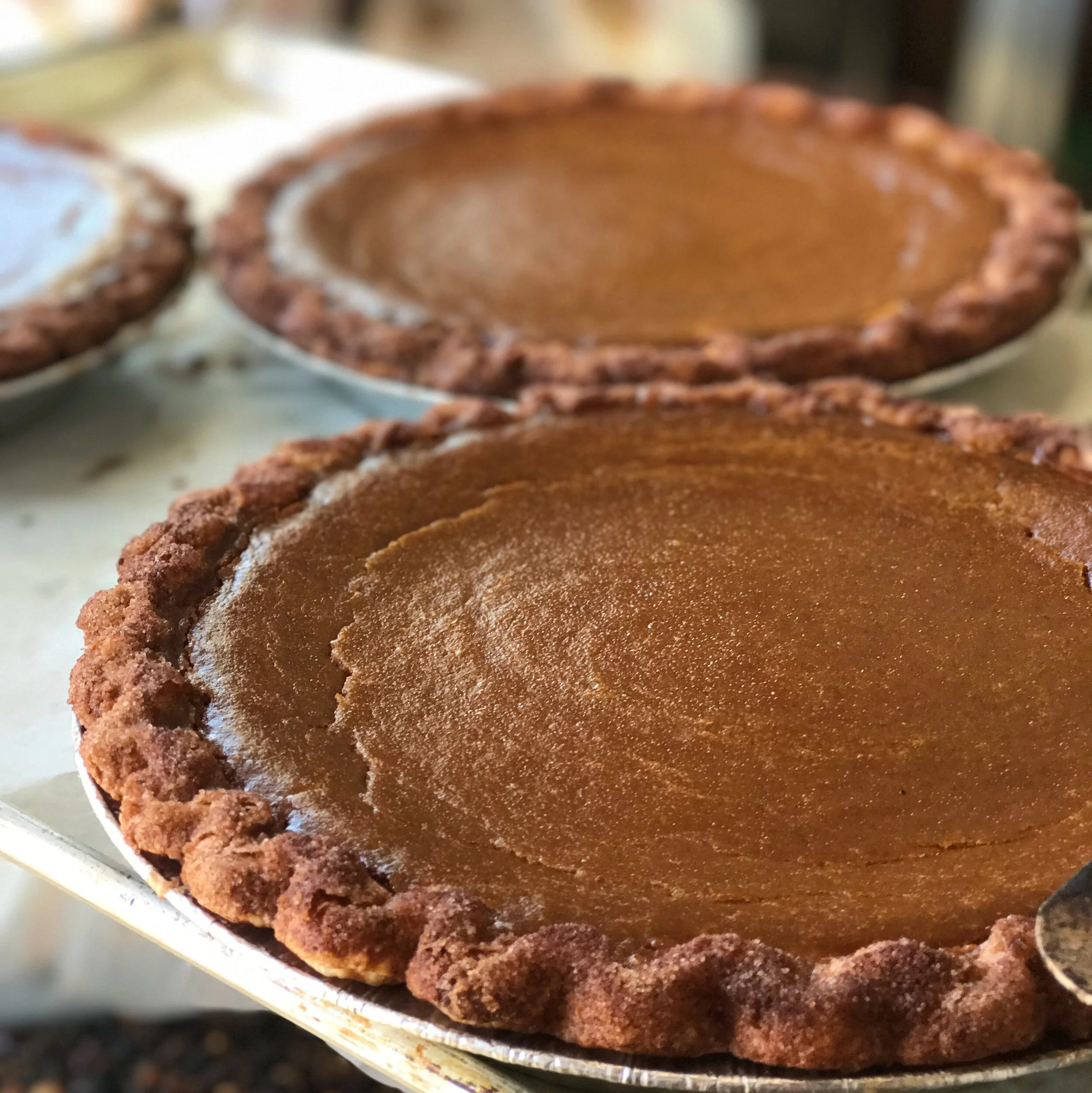Pumpkin Pie - 10"